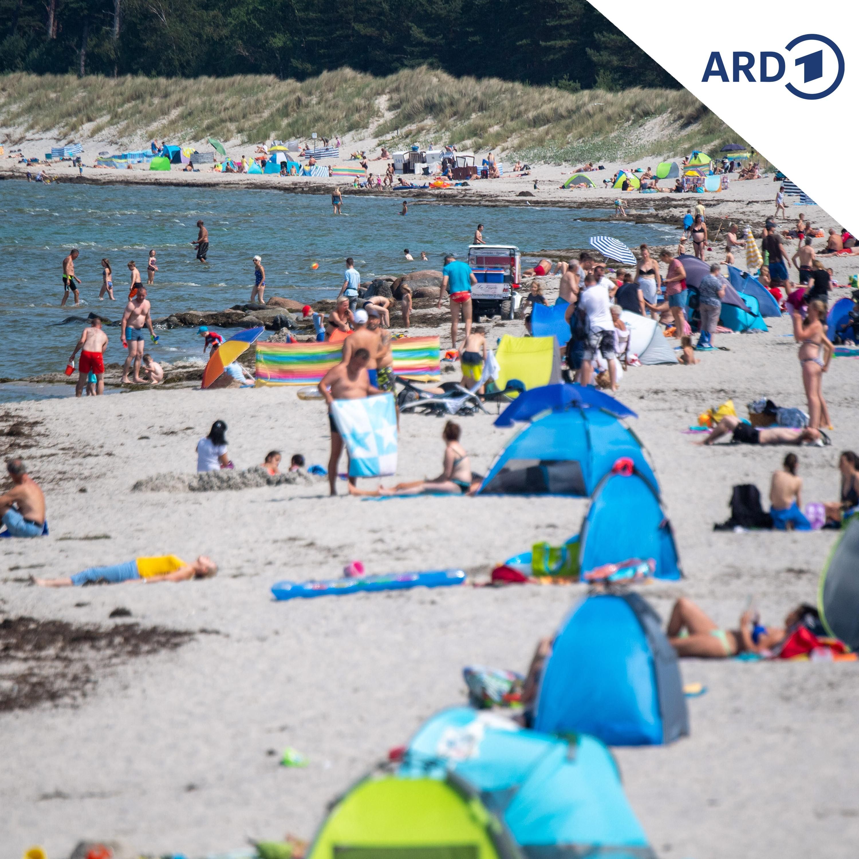 Vibrionen-Belastung in der Ostsee: Test für Frühwarnung läuft