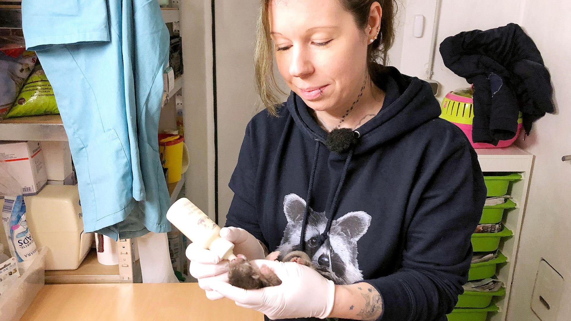 Thema heute u.a.: Marderbabys in Not