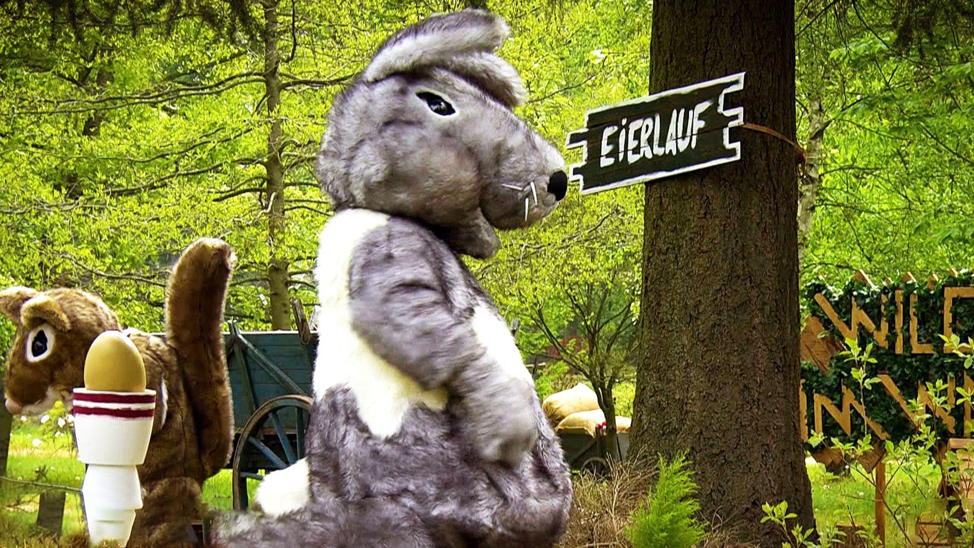Wild im Wald