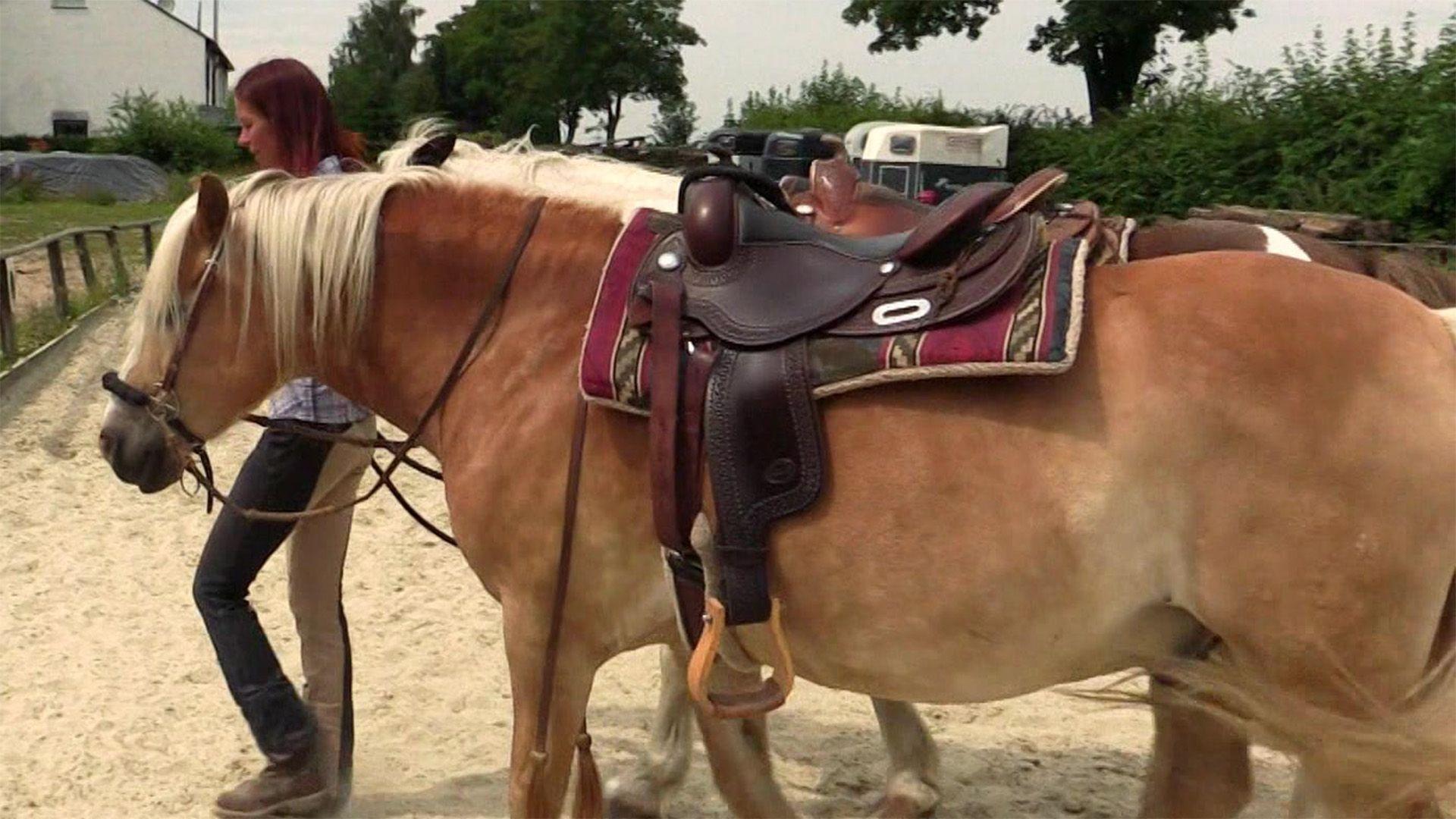 Martin lernt reiten
