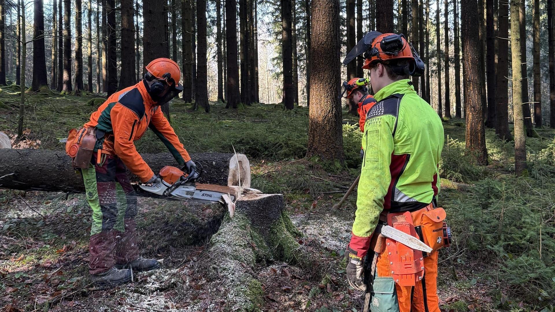 Unser Wald, ihr Job - Wenn Holzfällen zur Berufung wird