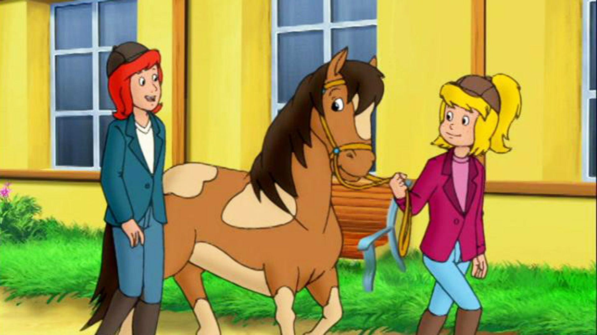 Ein Pony zum knuddeln