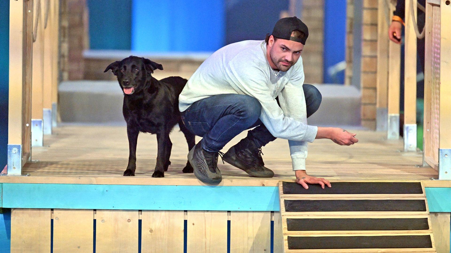 Top Dog Germany - Promi -Special