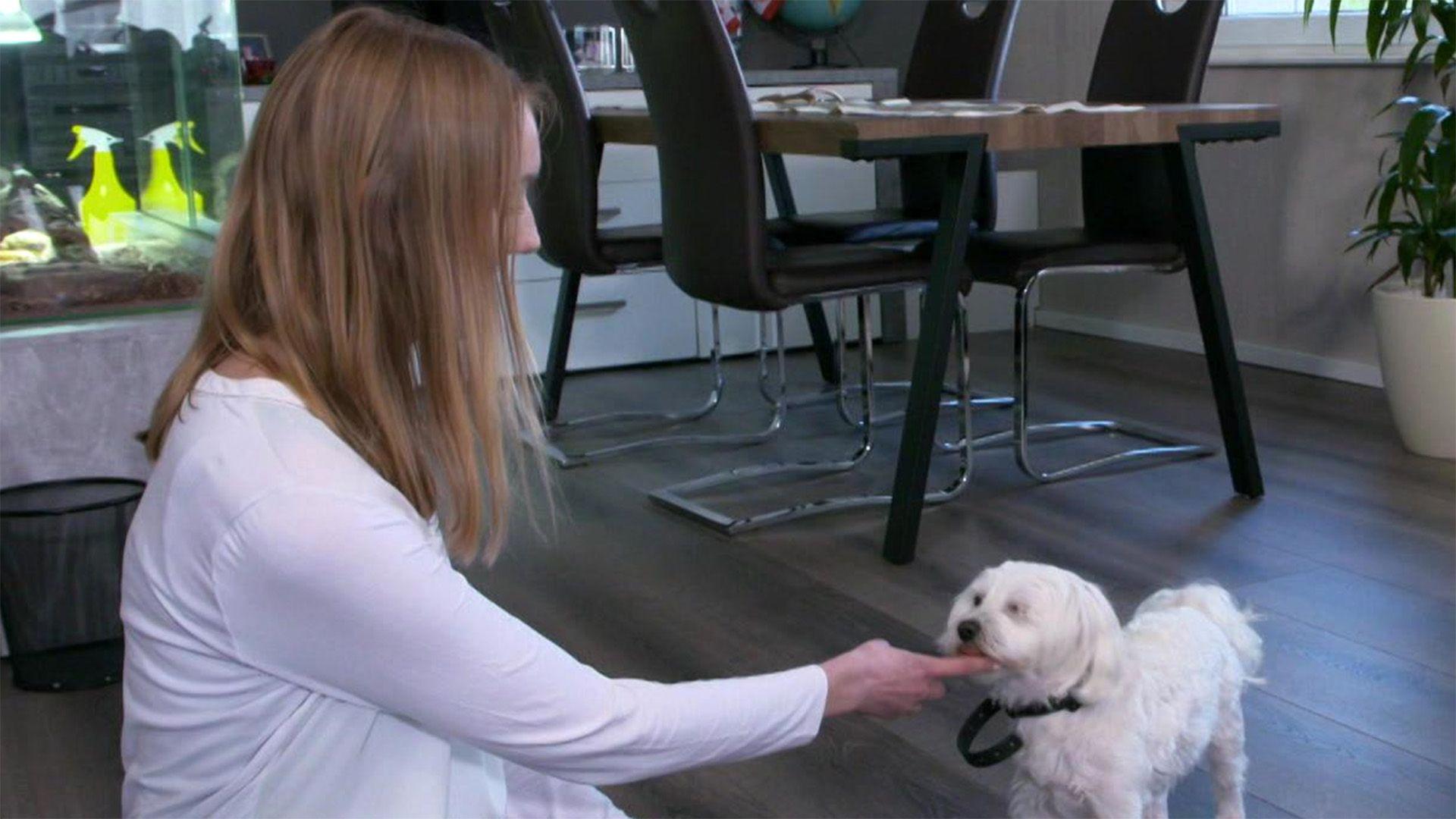 Wenn Kim ausreitet, wird es für ihren Hund gefährlich.