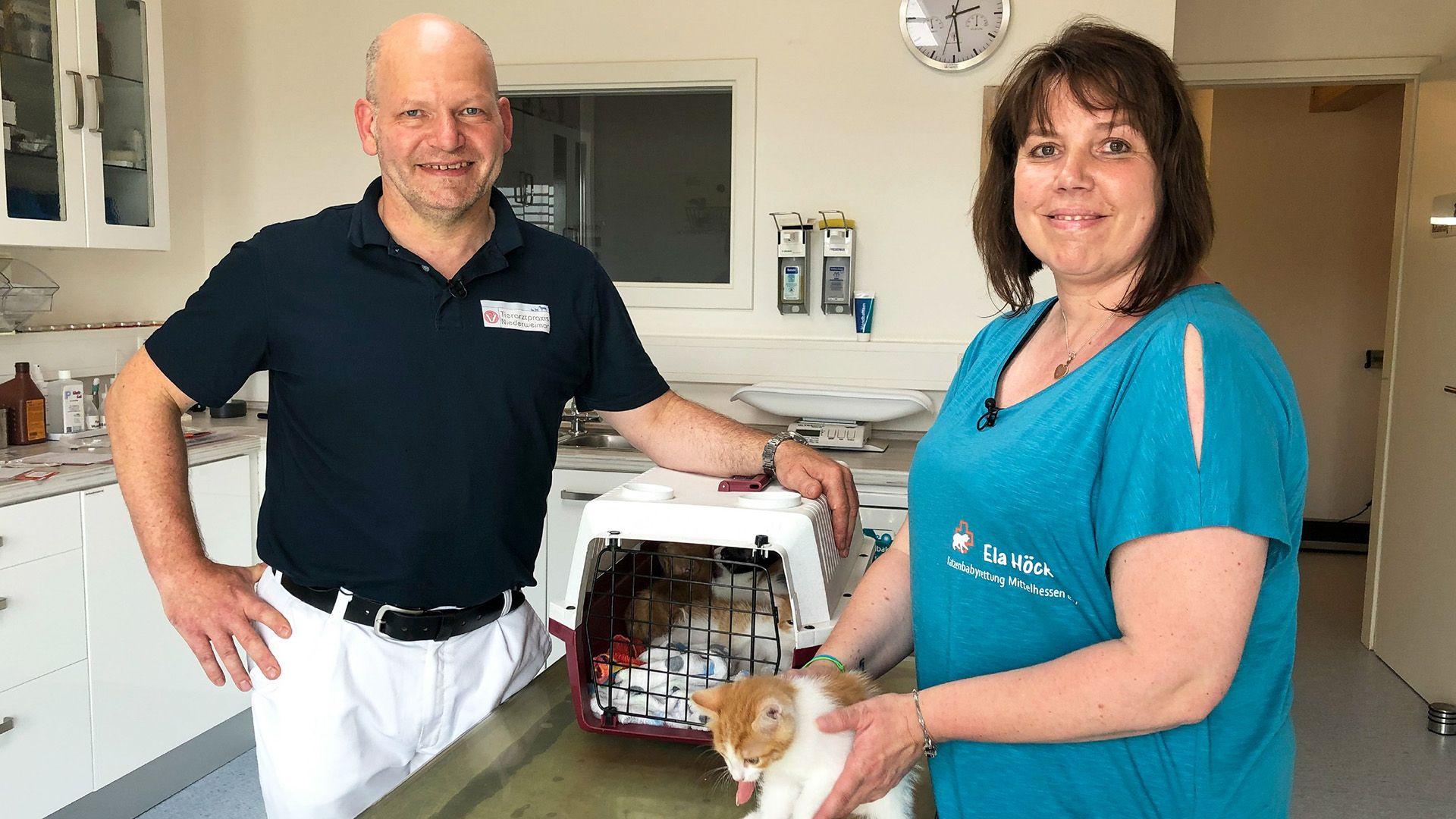 Heute u.a.: Katzenkinder in Not