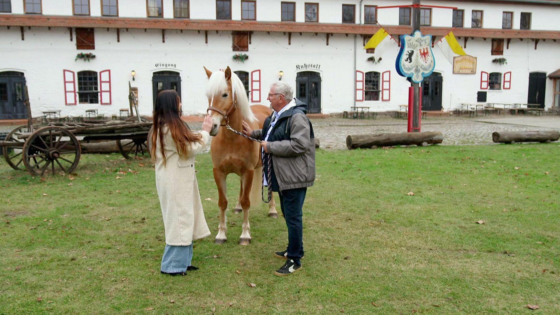 Folge 3
