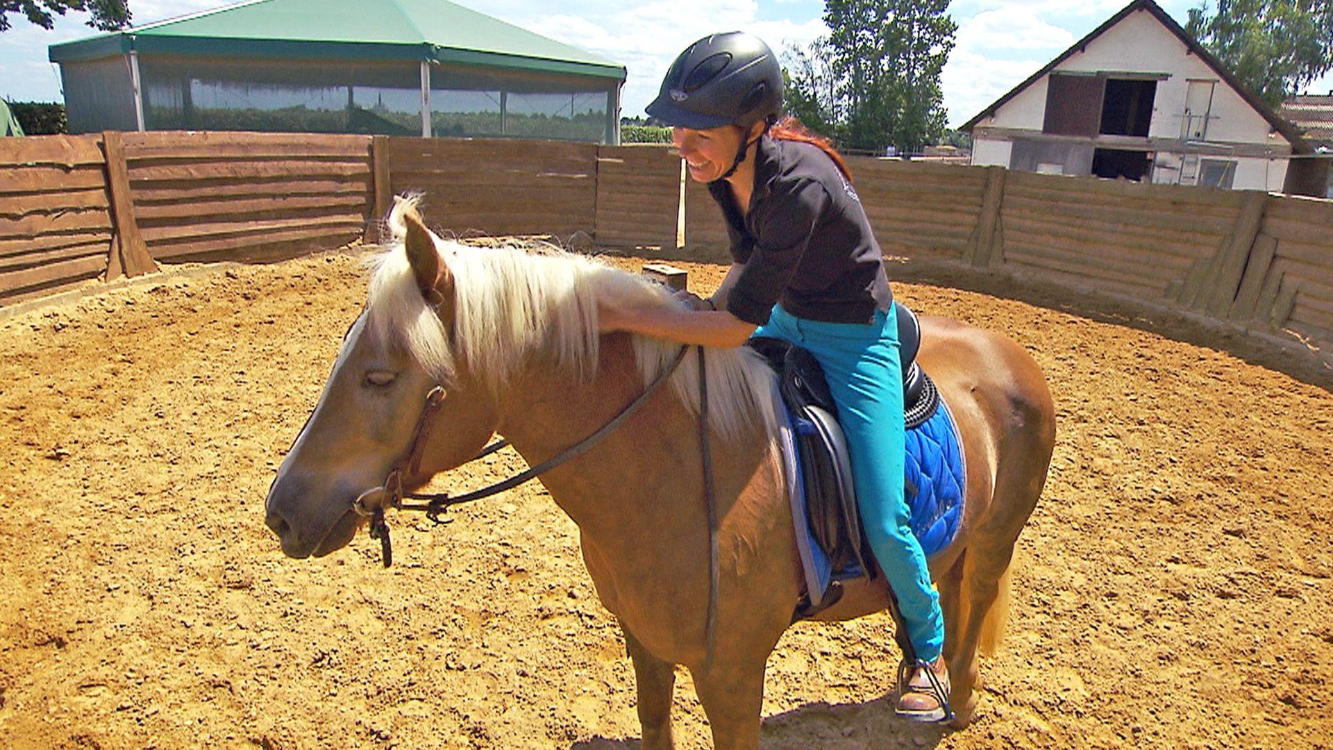 Haflingerstute "Giselle" / Paintwallach "Leroy"
