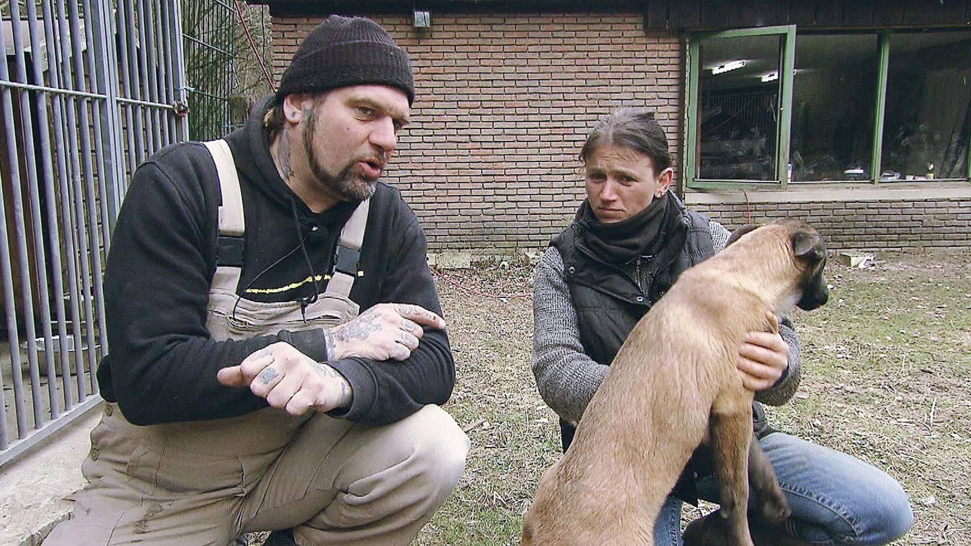 Hilfe für alte Gäule und junge Katzen