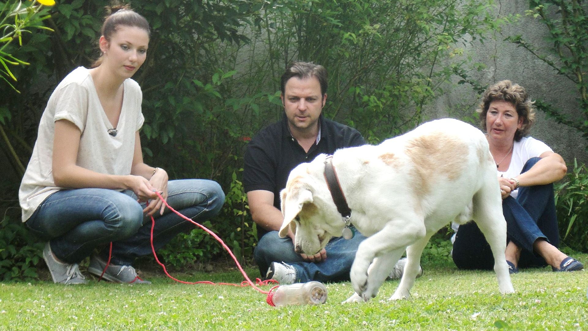 Themen heute u. a.:Fall "Trevor" und Fall "Kira"