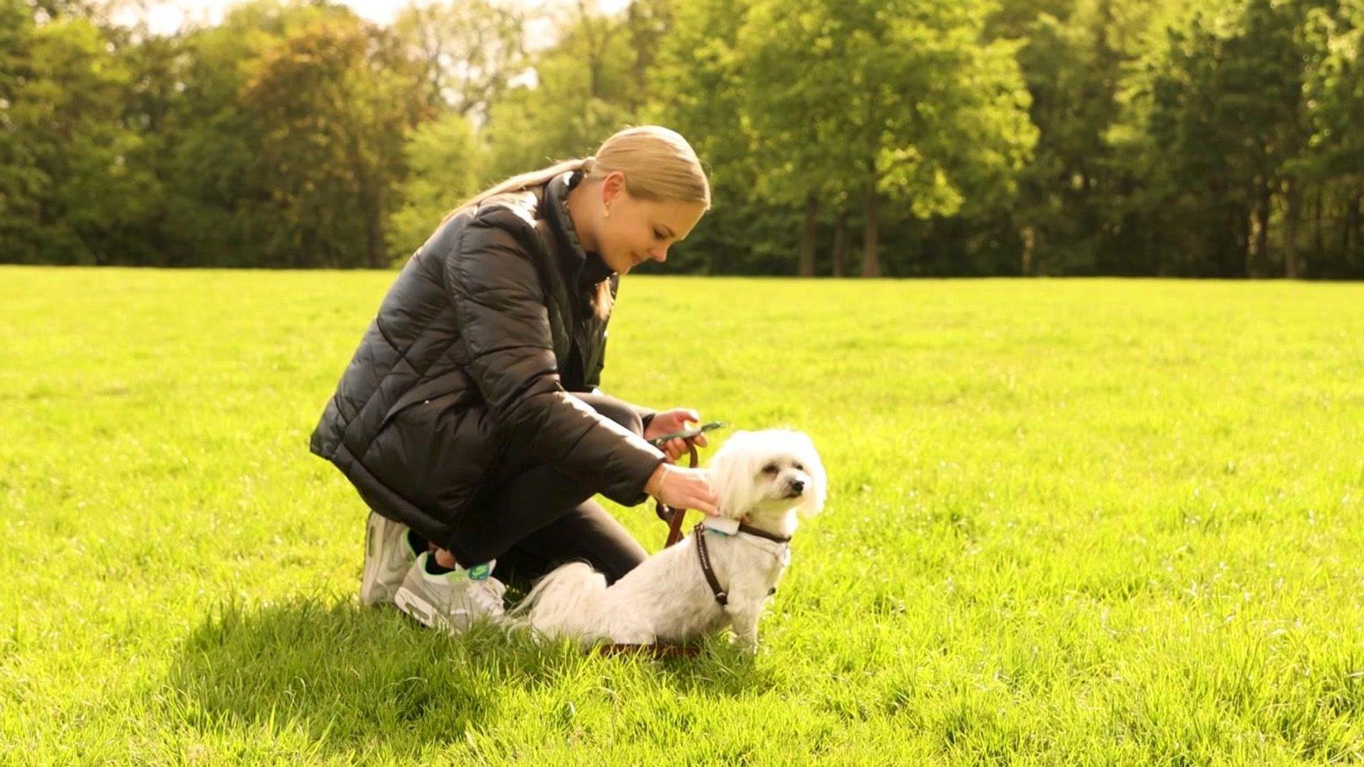 Hightech für den Hund