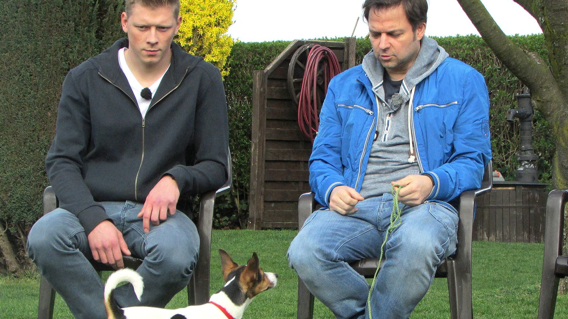 Jack-Russell-Terrier "Lucy" / Kangal-Mischling "Anton"