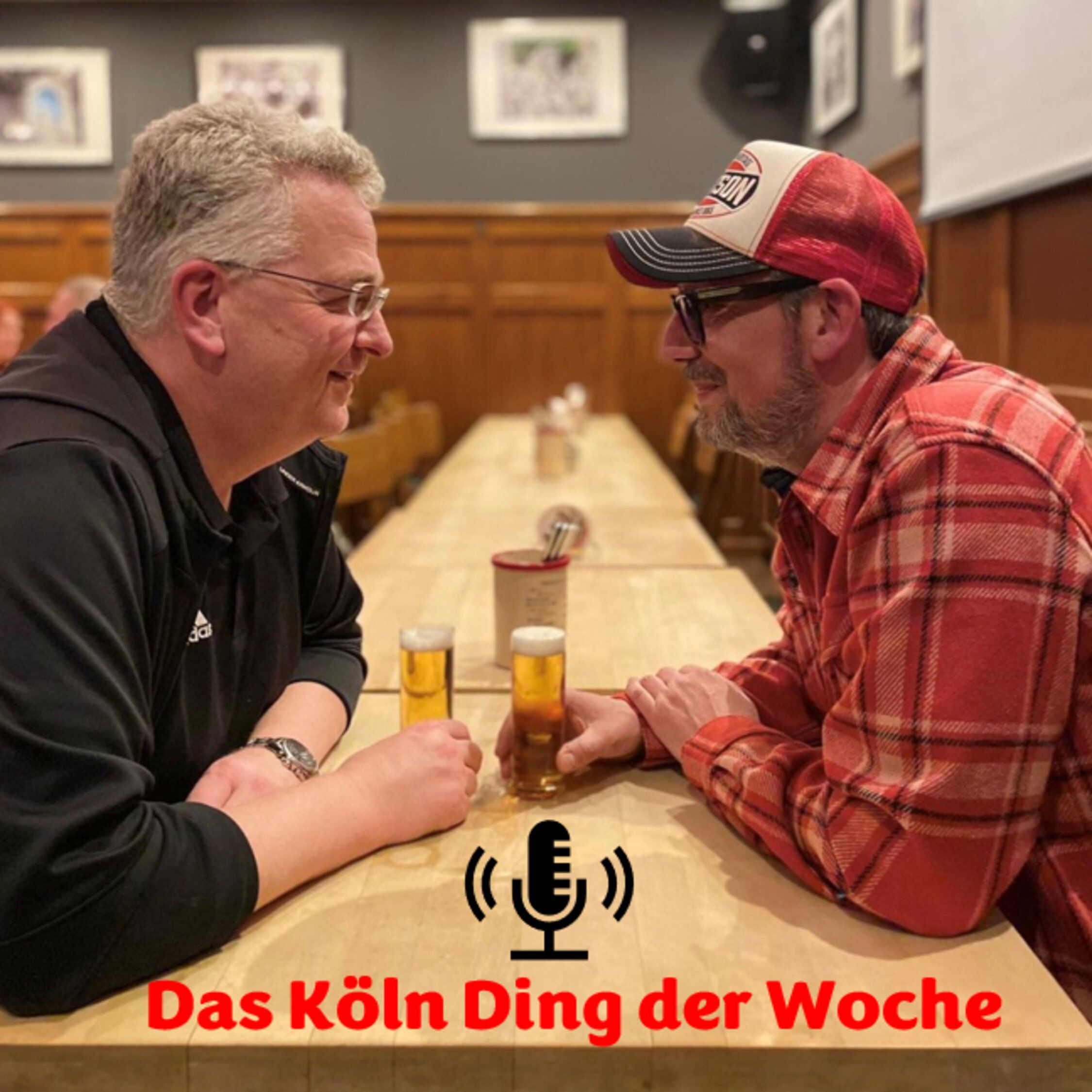 Das Köln Ding der Woche - Der Hahnwald