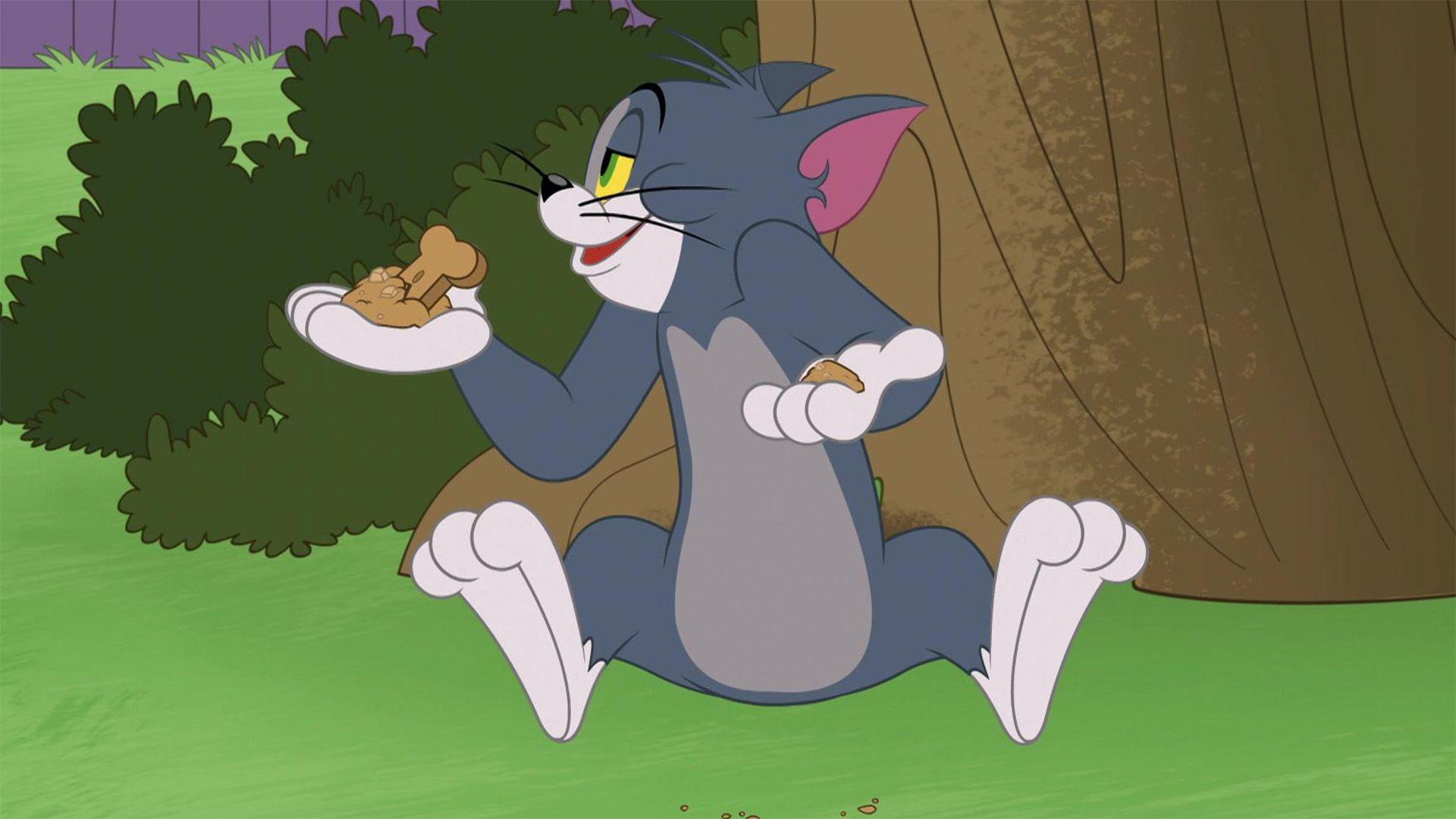 Der unsichtbare Tom