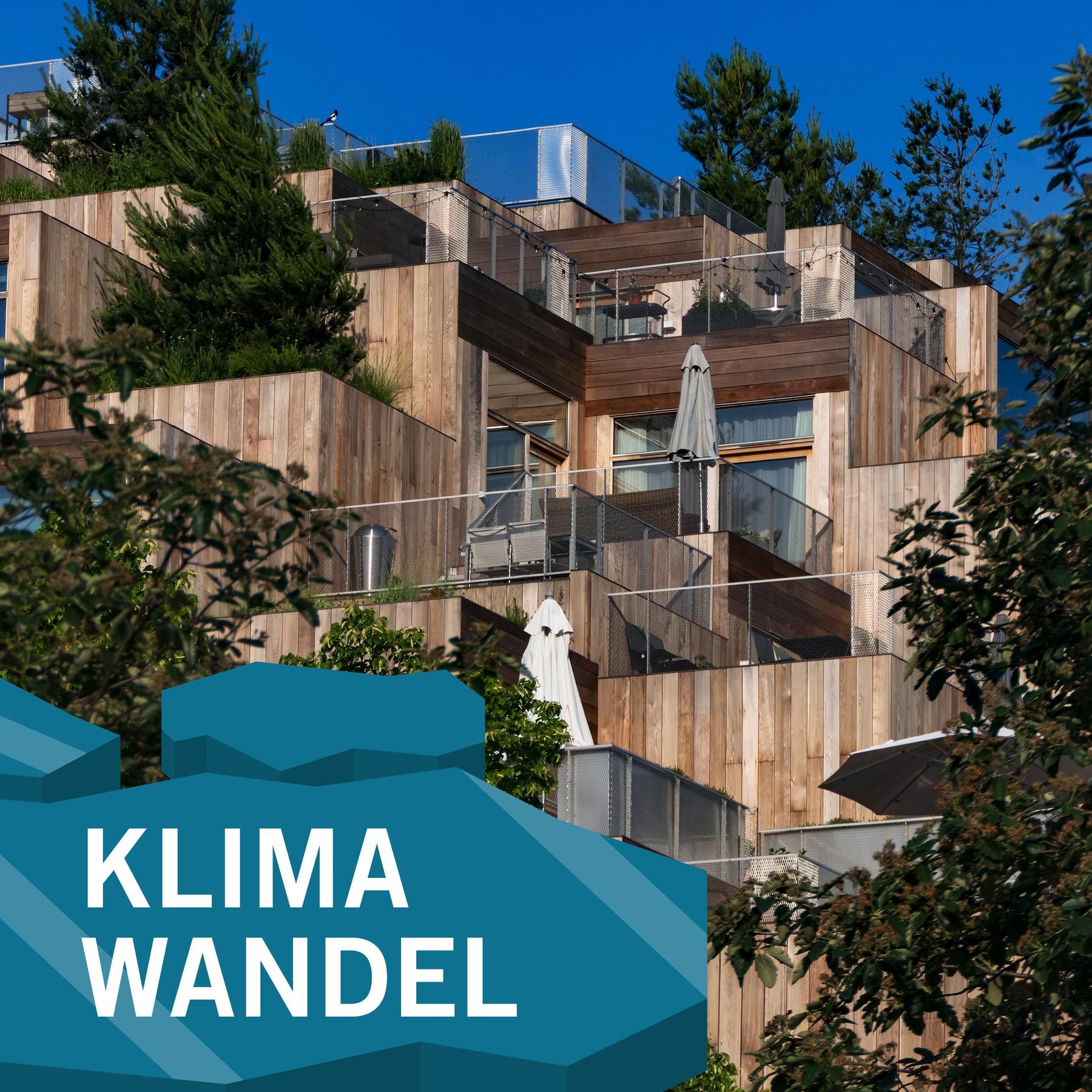 Das Klima, das Wohnen und das Holz - Die Vision vom Bauhaus der Erde