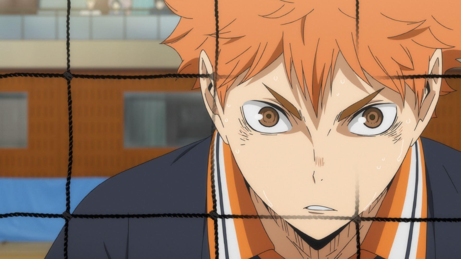 Volleyballnerds