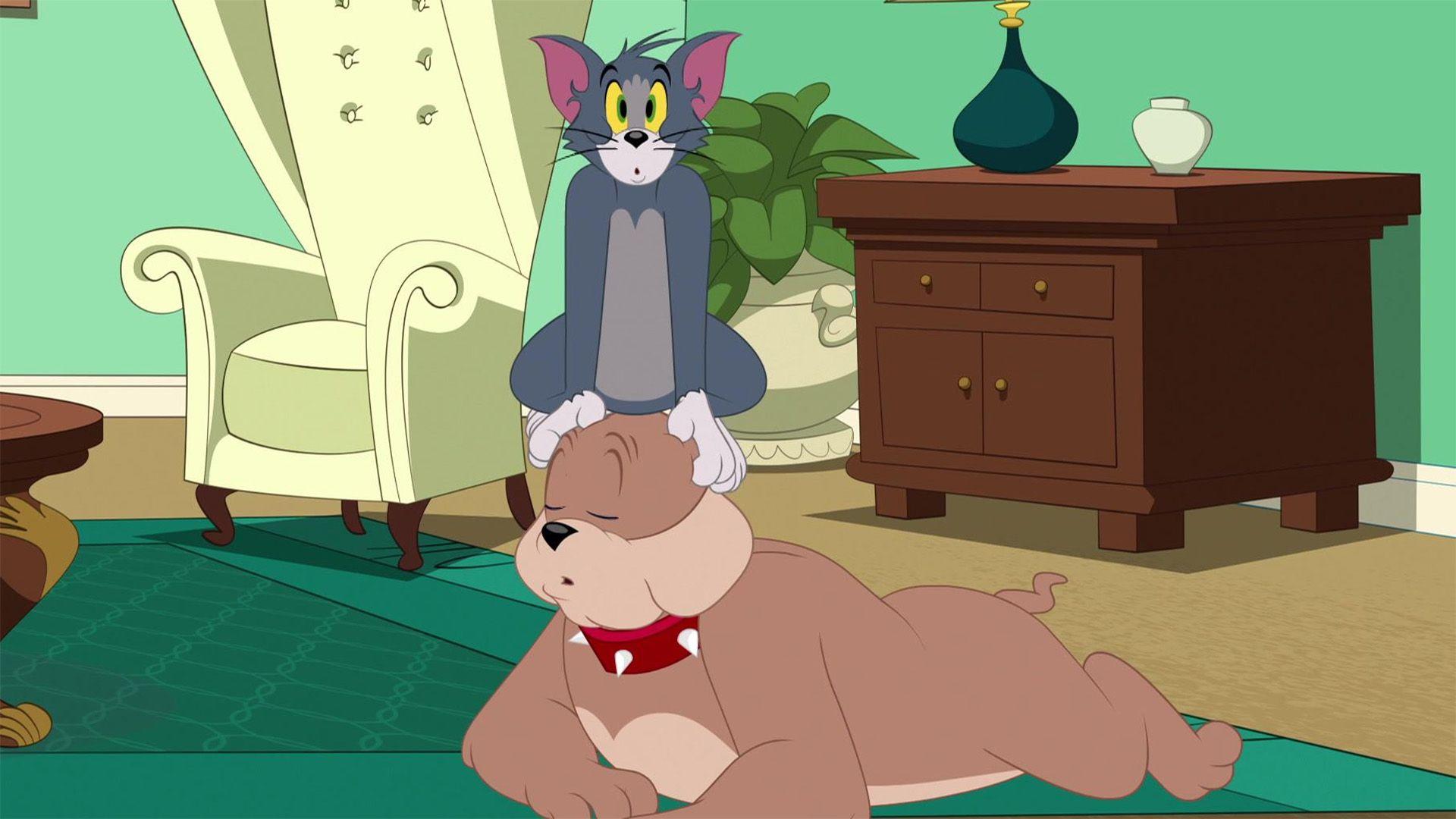 Alles für die Katz
