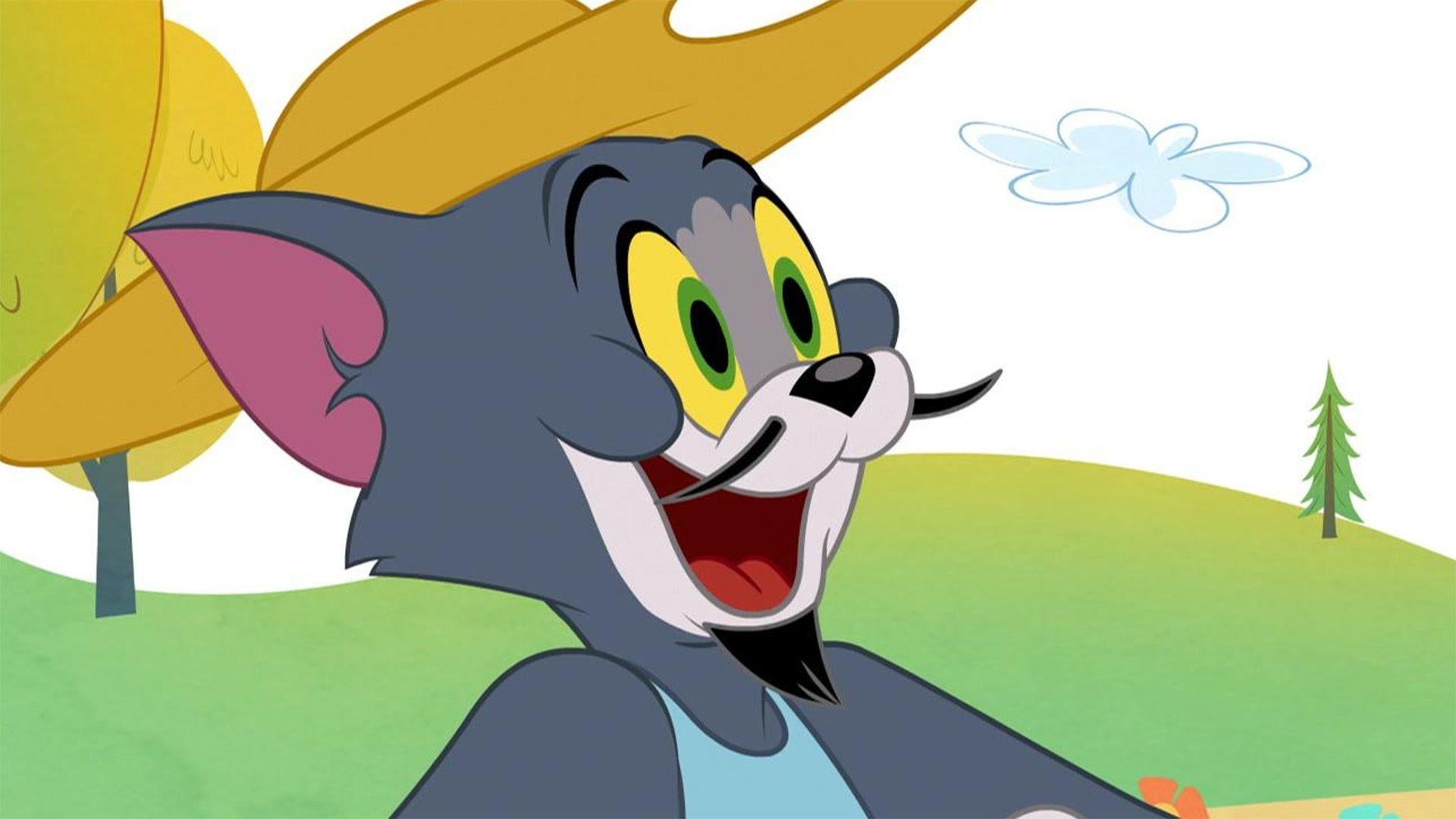 Tom Quijote