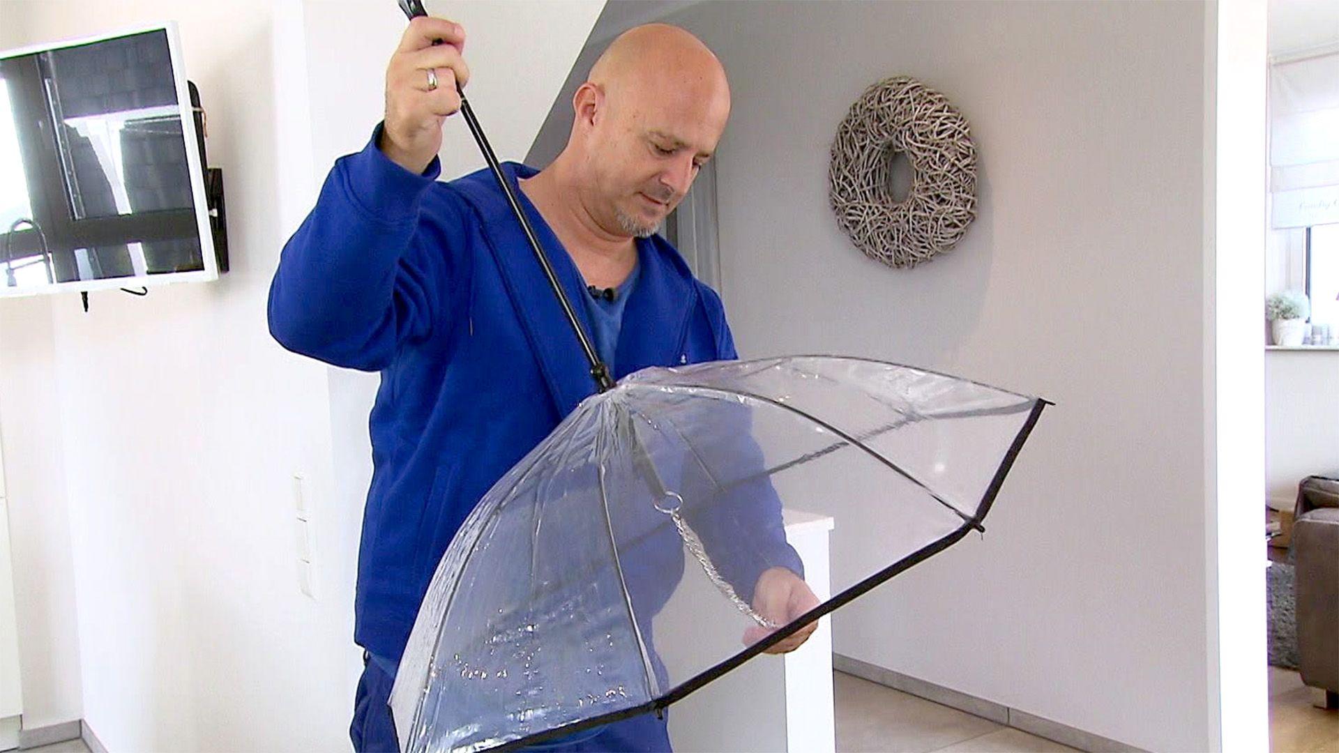 Heute u.a.: Regenschirm für Hunde