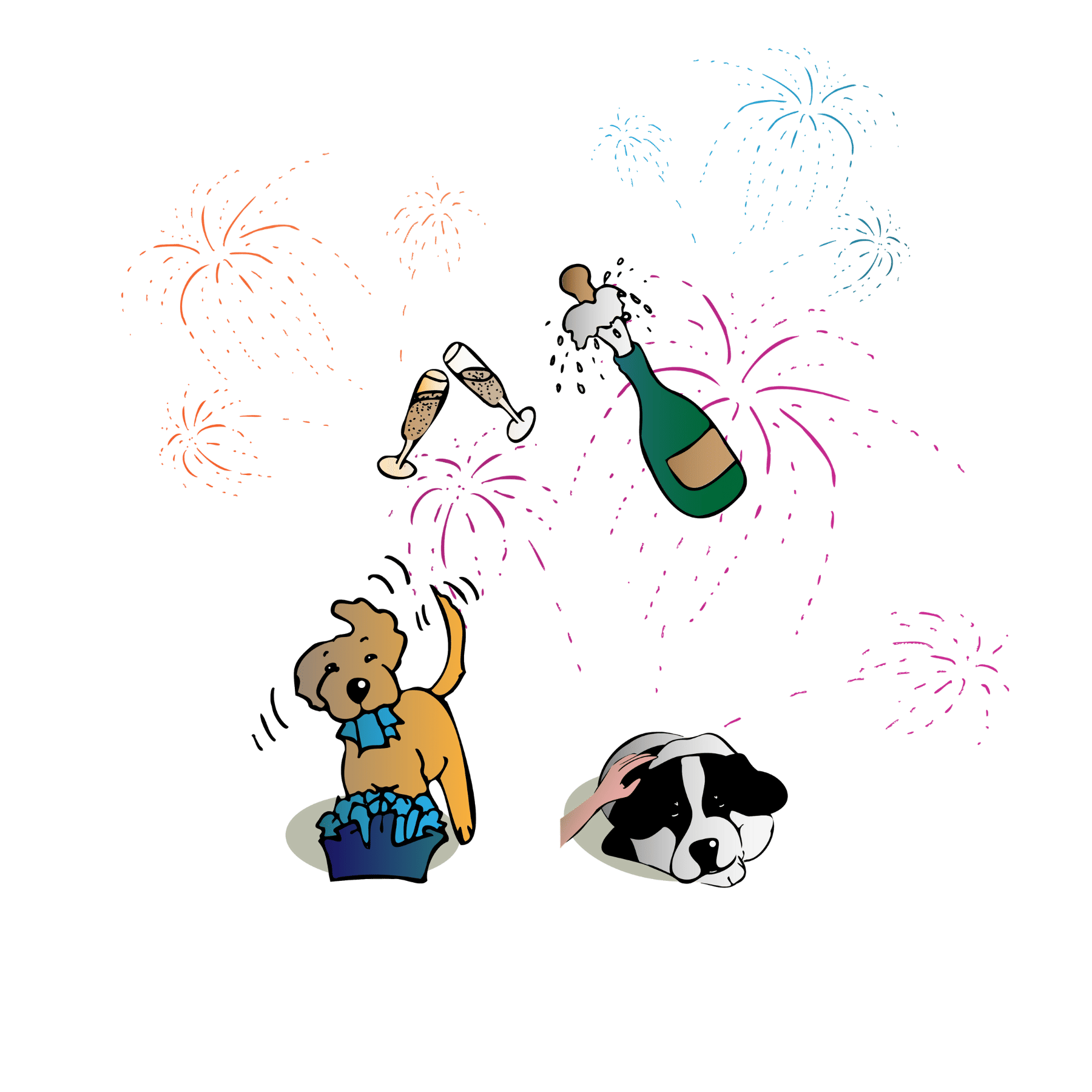 #14 Wie du deinen Hund Silvester unterstützen kannst
