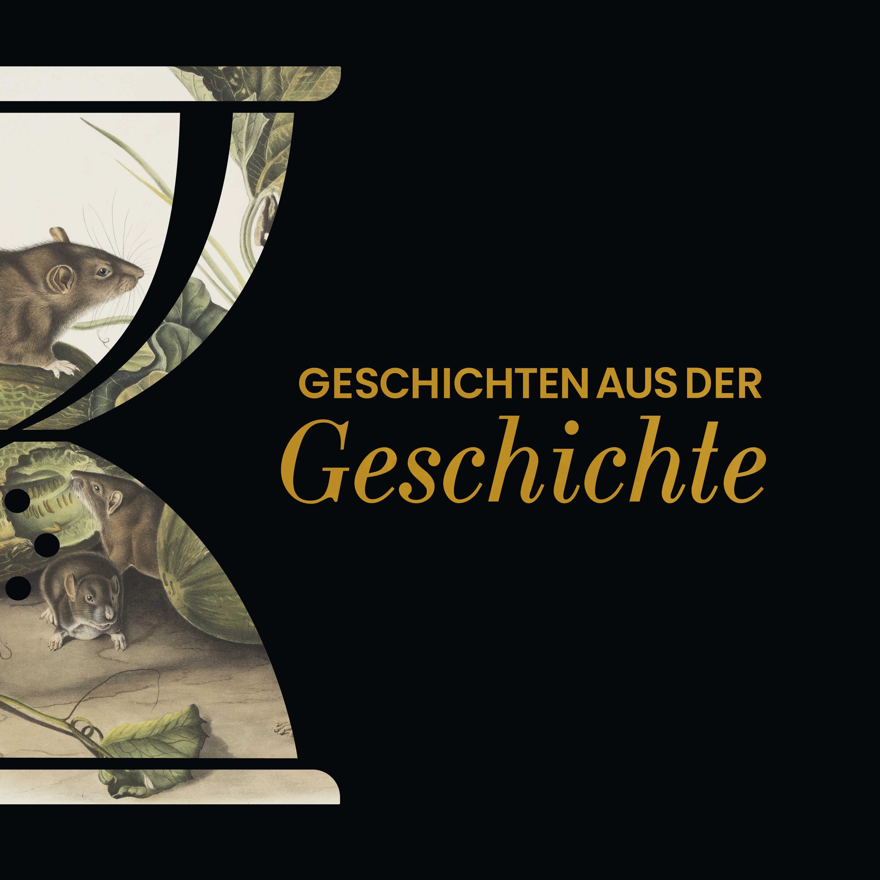 GAG566: Die doppelte Ratte