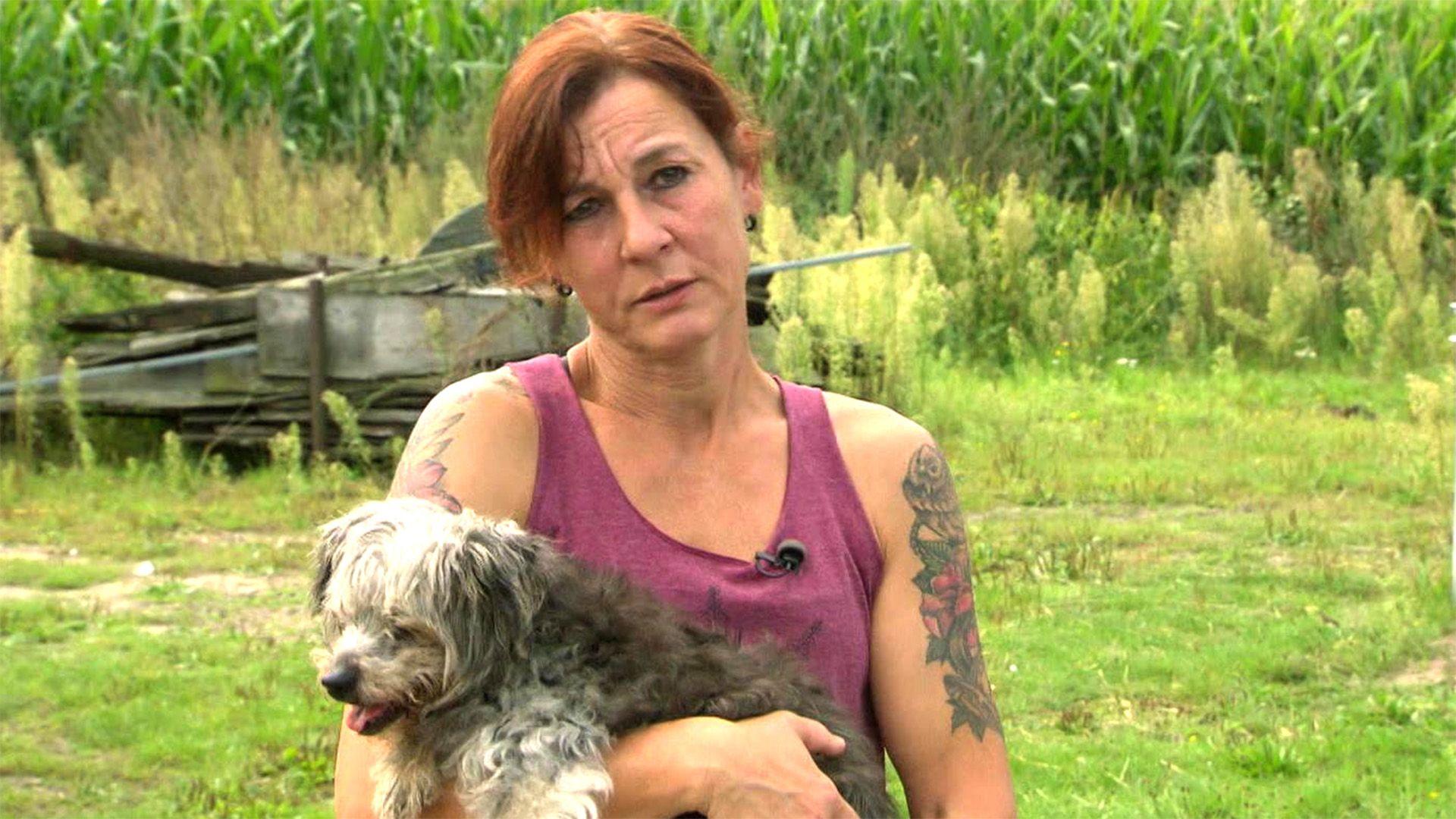Heute: Umzug Lebenshof "Tierisches Glück"