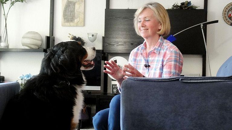 Berner Sennenhündin 'Mecki' / Schäferhündin 'Michelle'