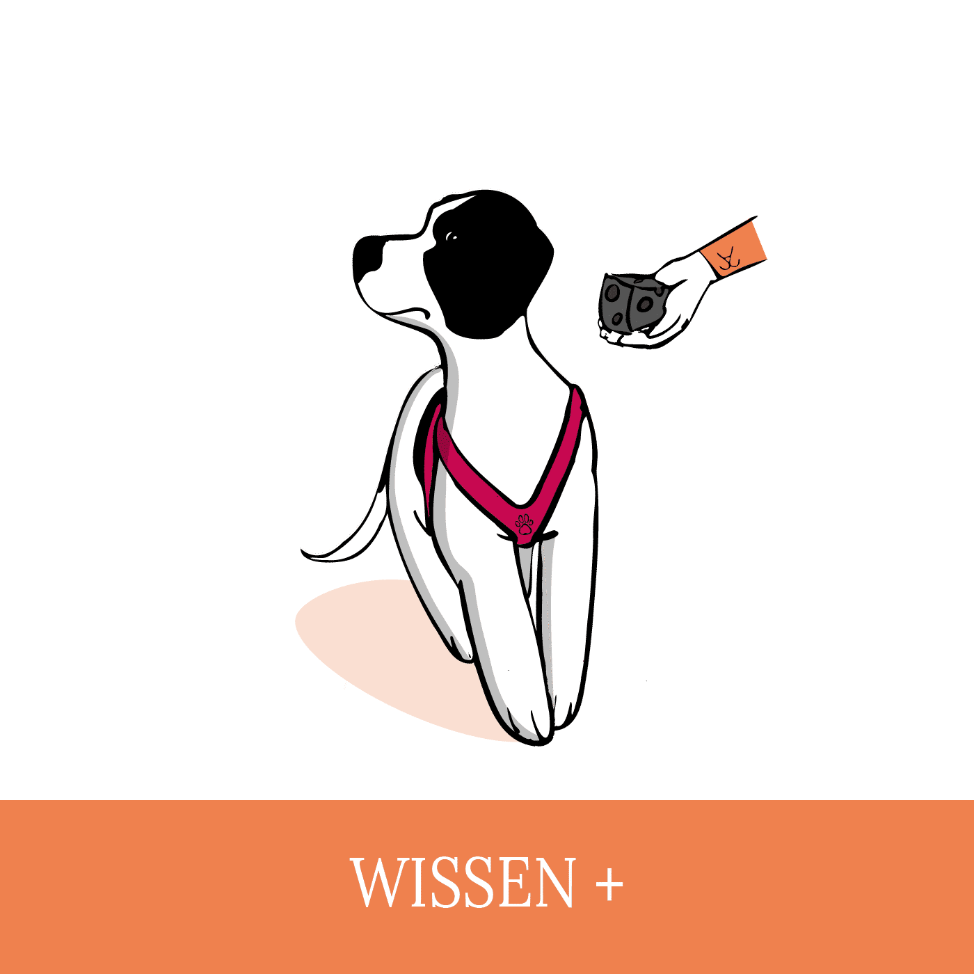 #02 Wissen+ Wenn der Kundenhund kein Futter nimmt