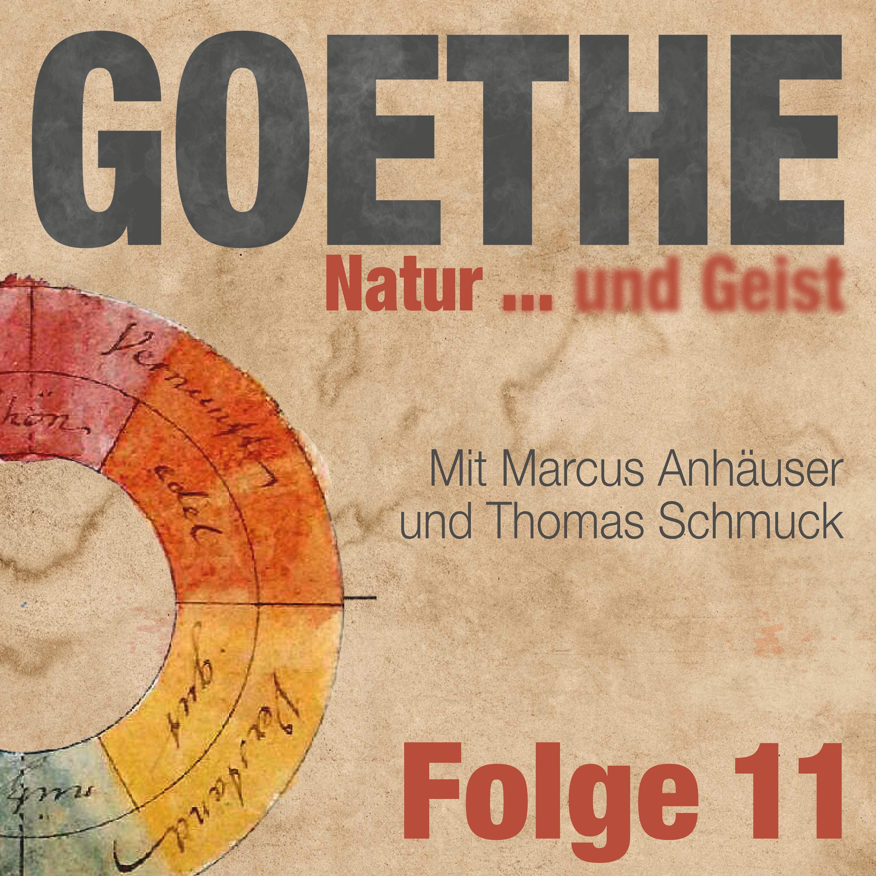 Goethes Farbenlehre: Fail oder Erfolg?