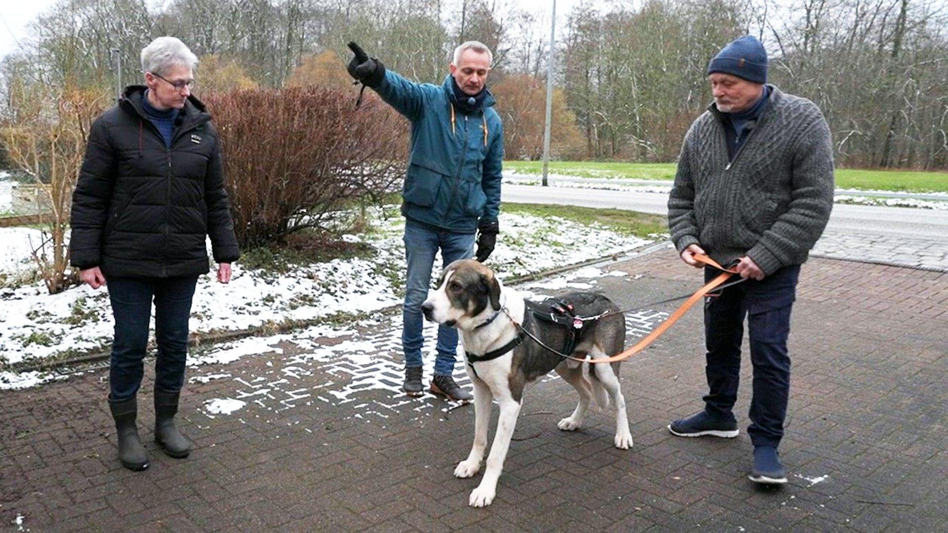 Folge 2