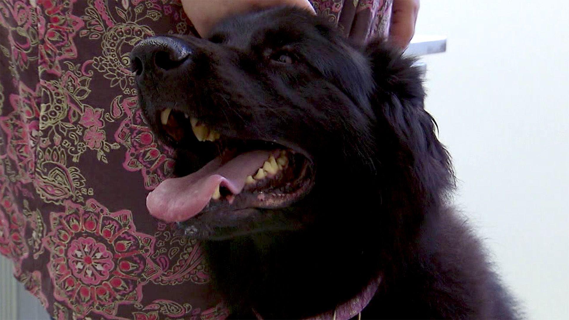 Die heutigen Themen: Fall "Bruno"und Fall "Mona"