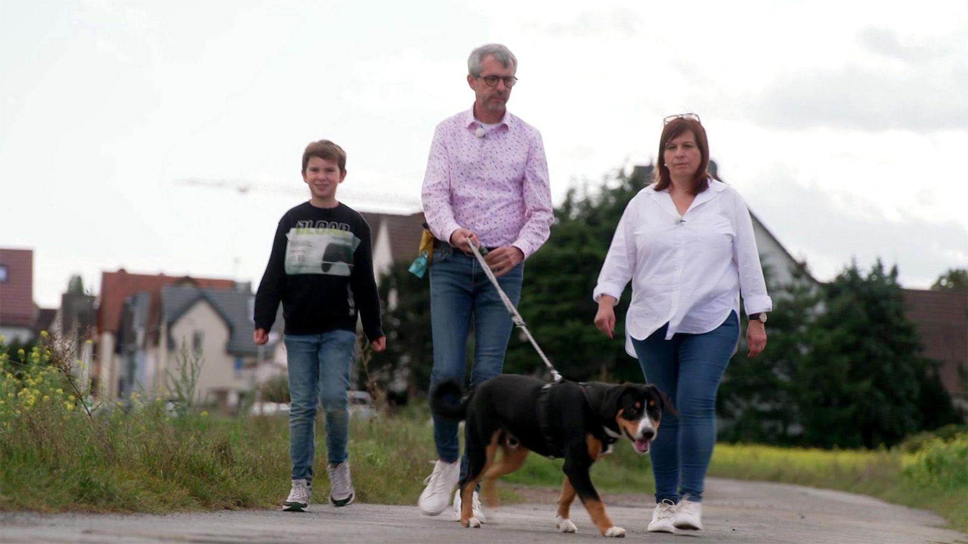Entlebucher Sennenhund Bruno nervt mit Rüpelhaftigkeit