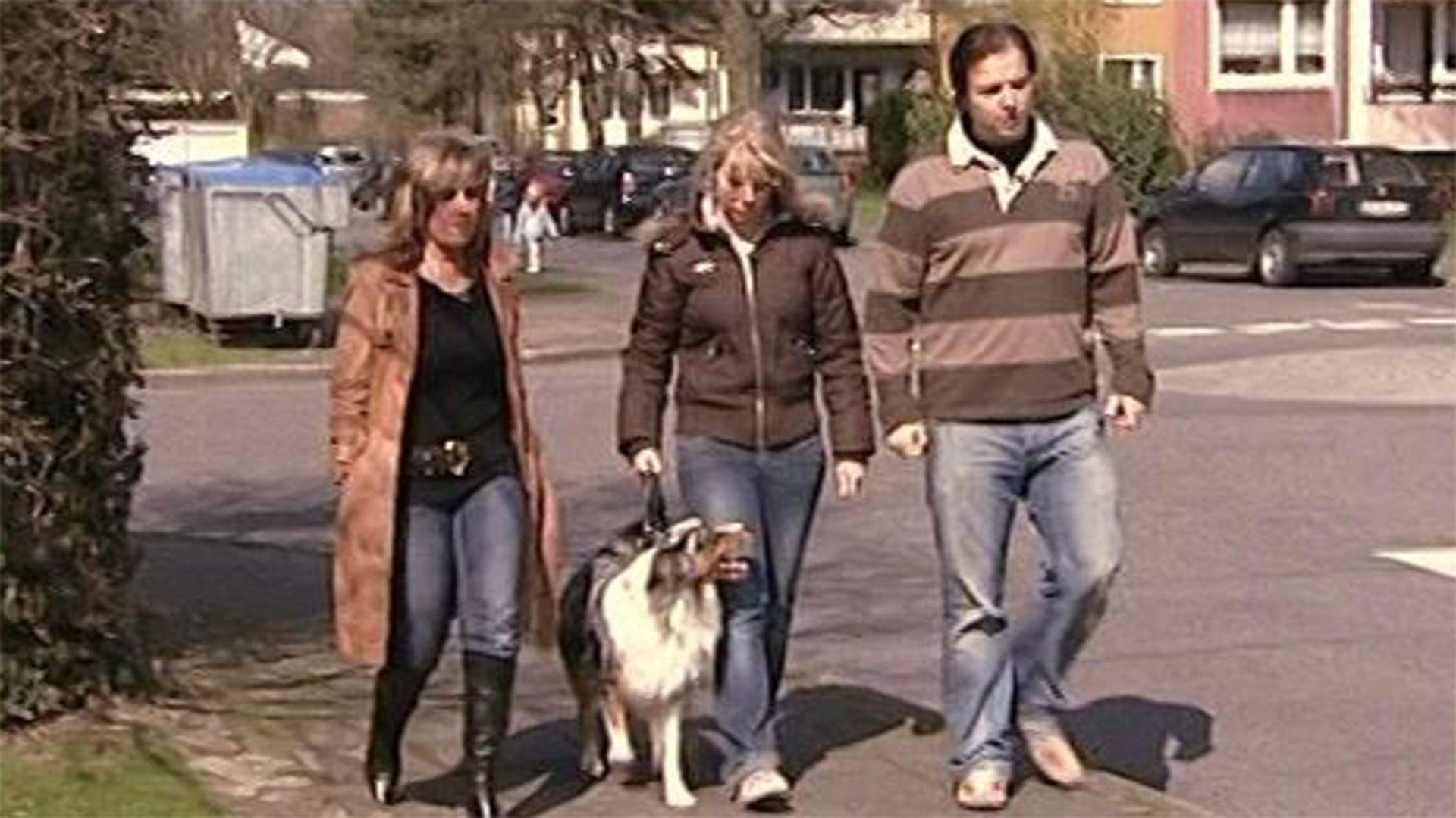 Folge 12
