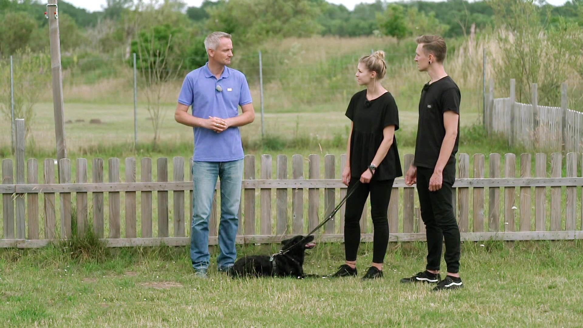 Kenzo stellt sein Herrchen vor große Herausforderungen.