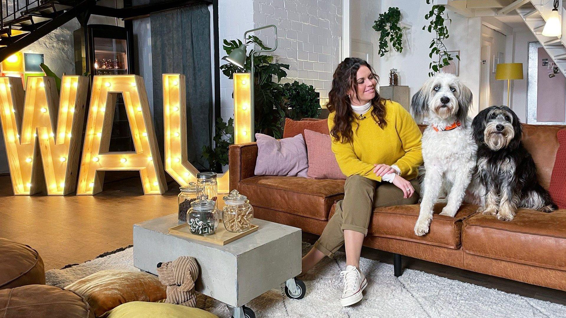 Wau! Die talentiertesten Hunde
