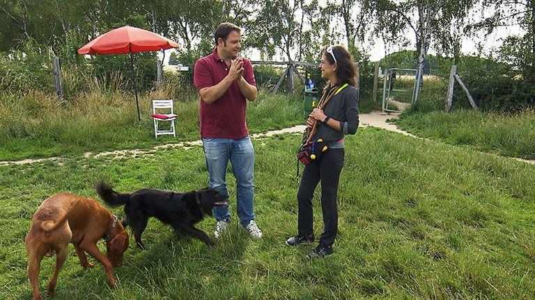 Die Hundewiese als Testgelände