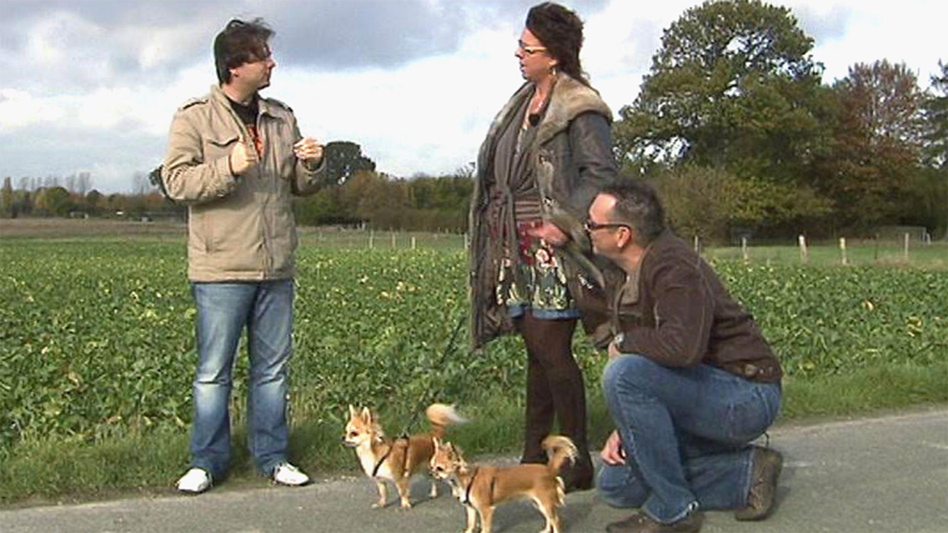 Folge 10