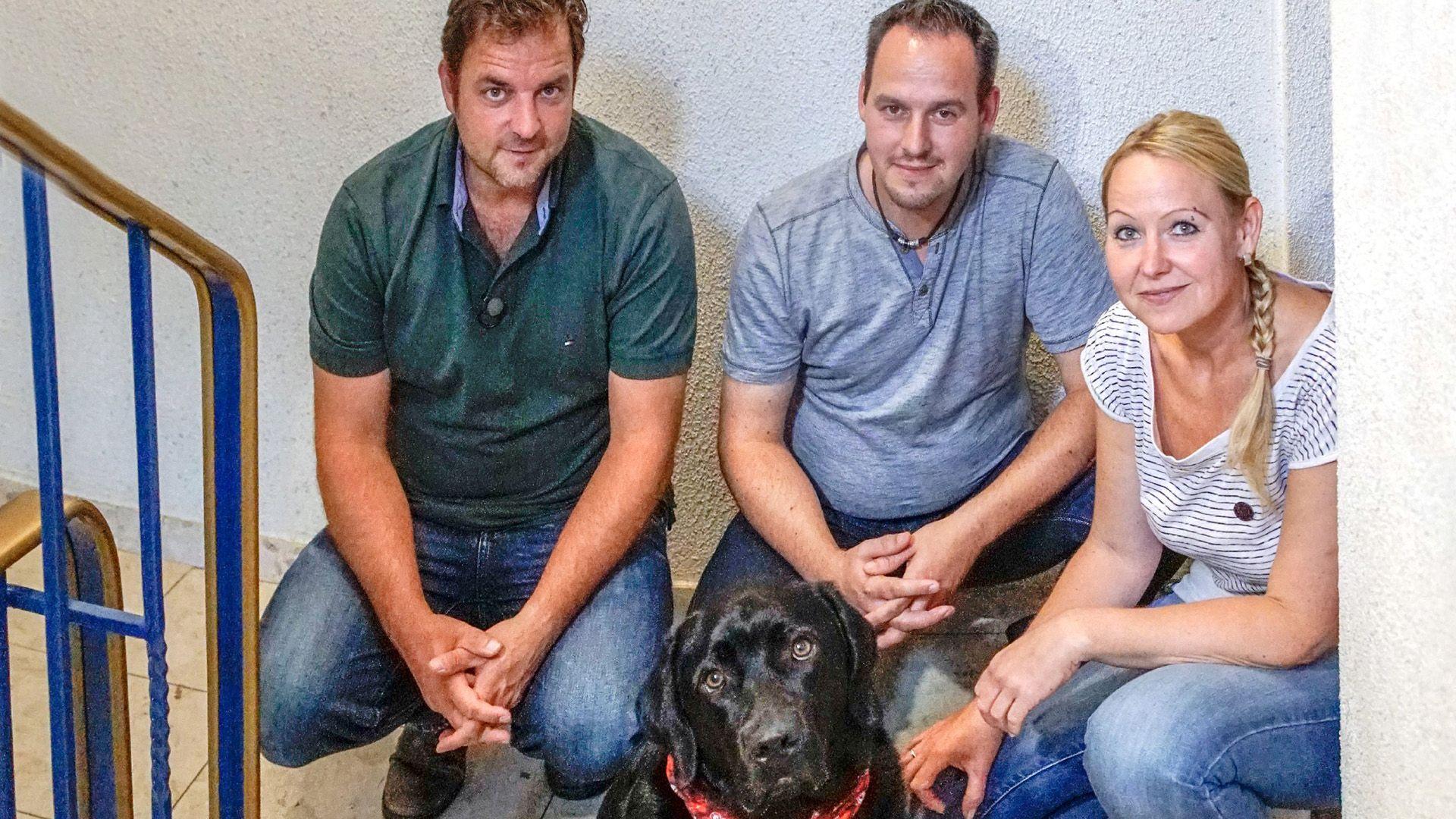 Fall "Bella" und Fall "Fin"