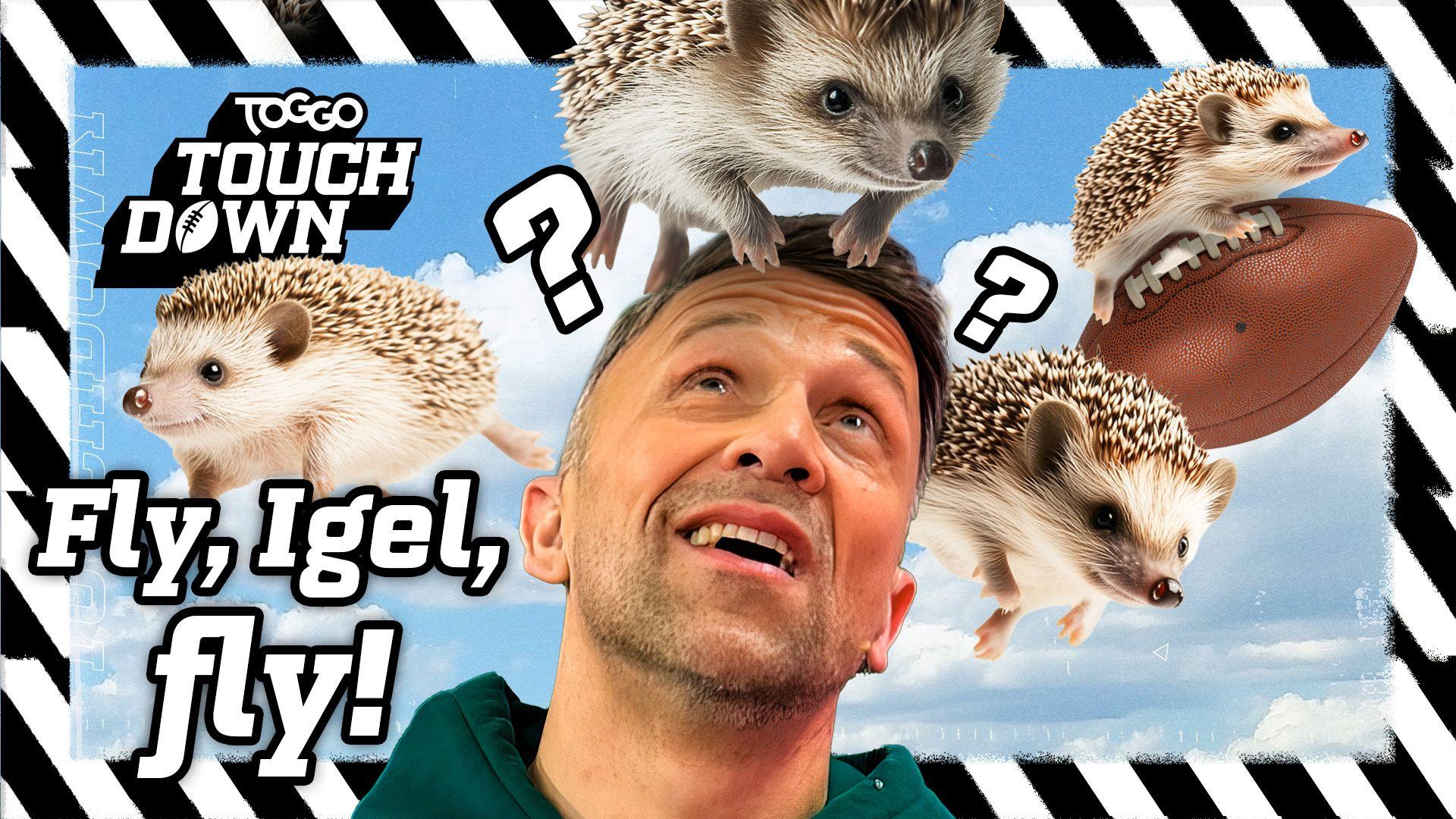 Fly, Igel, fly!