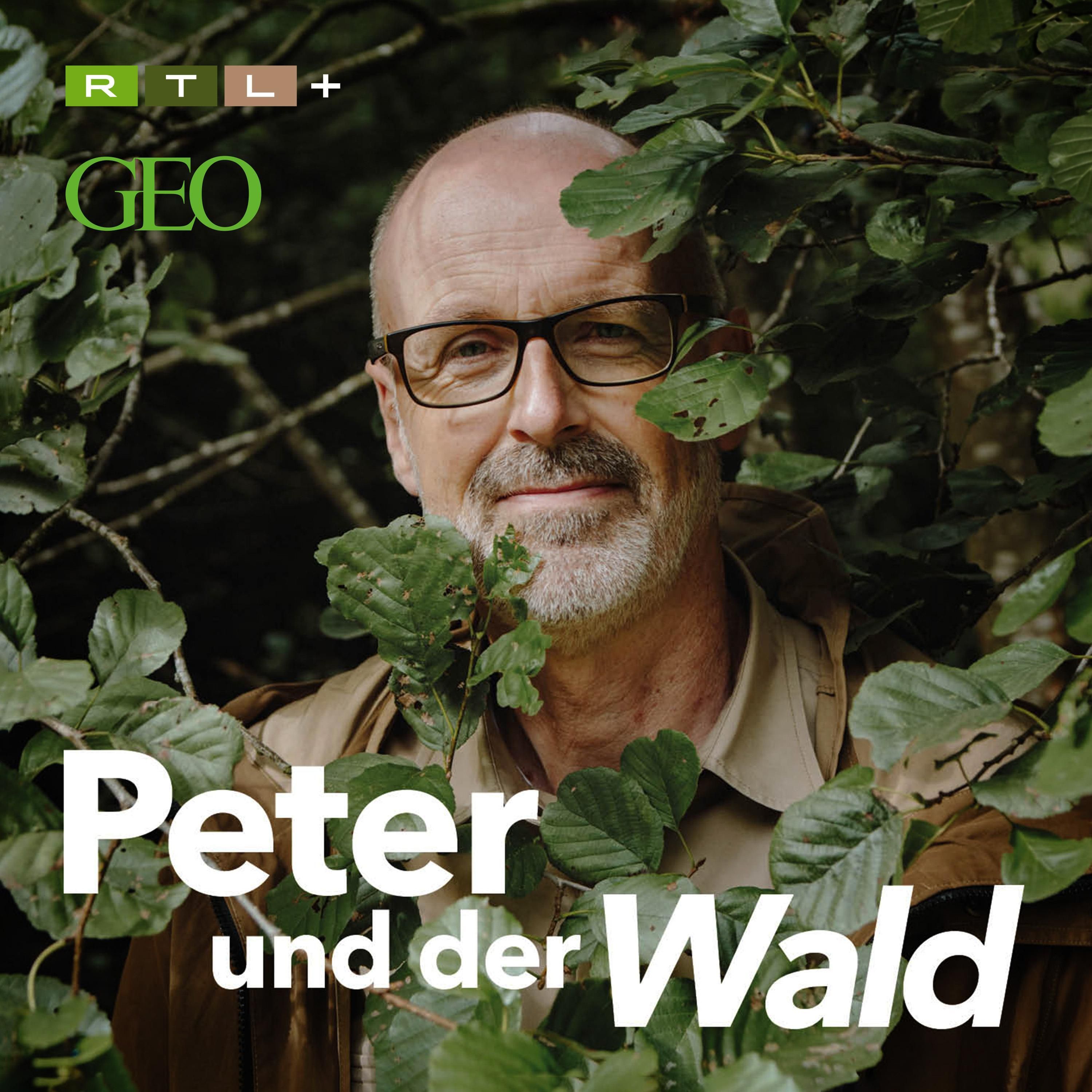 Elli Radinger - Über die Weisheit der Wölfe
