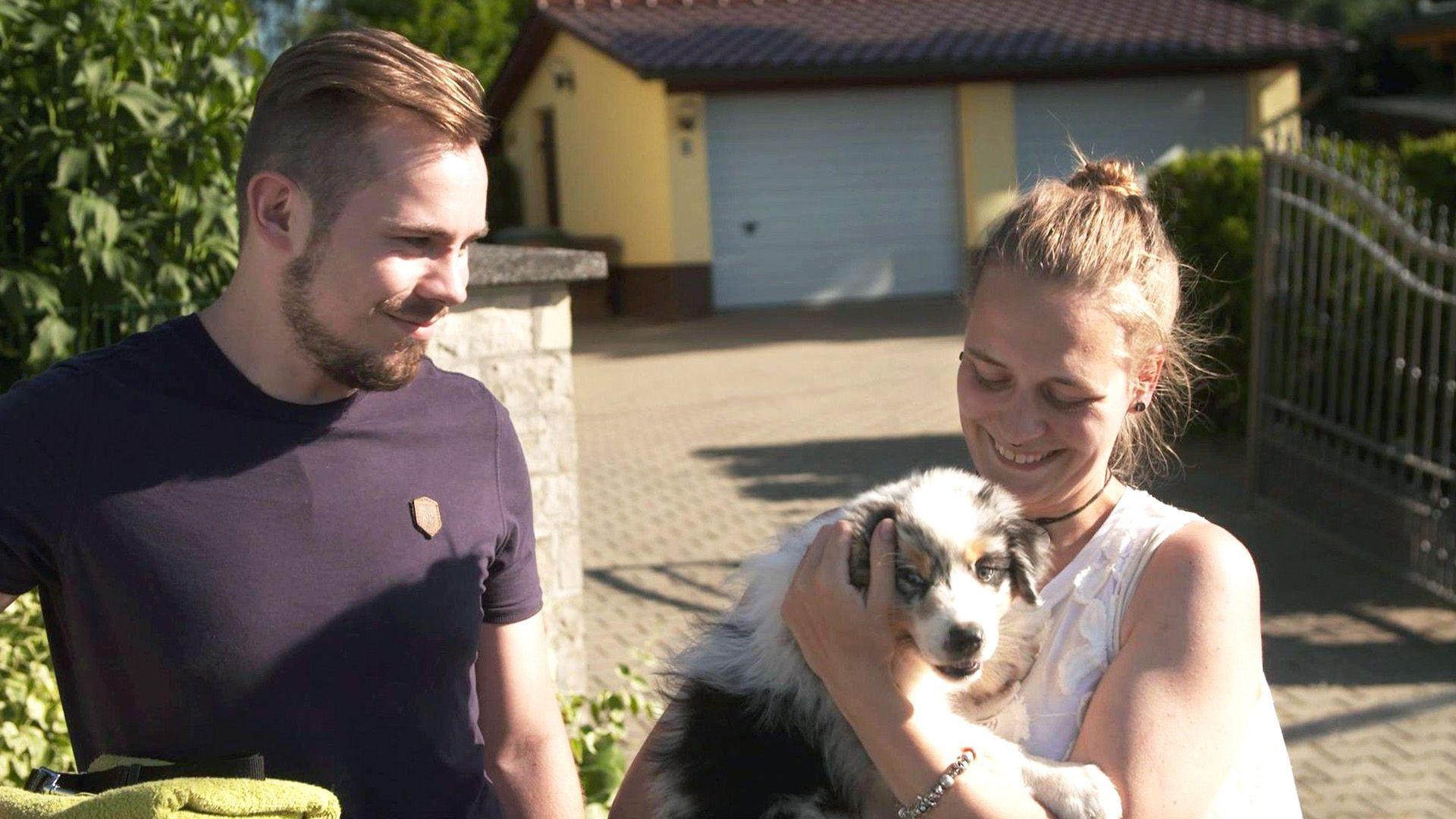 Martin Rütter - Die Welpen kommen: Best of...