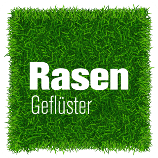 #81 Ein gutes Pferd
