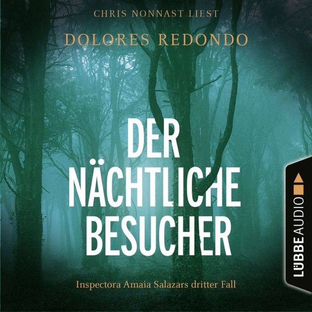 Der nächtliche Besucher - Inspectora Amaia Salazars dritter Fall - Die Baztán-Trilogie, Teil 3