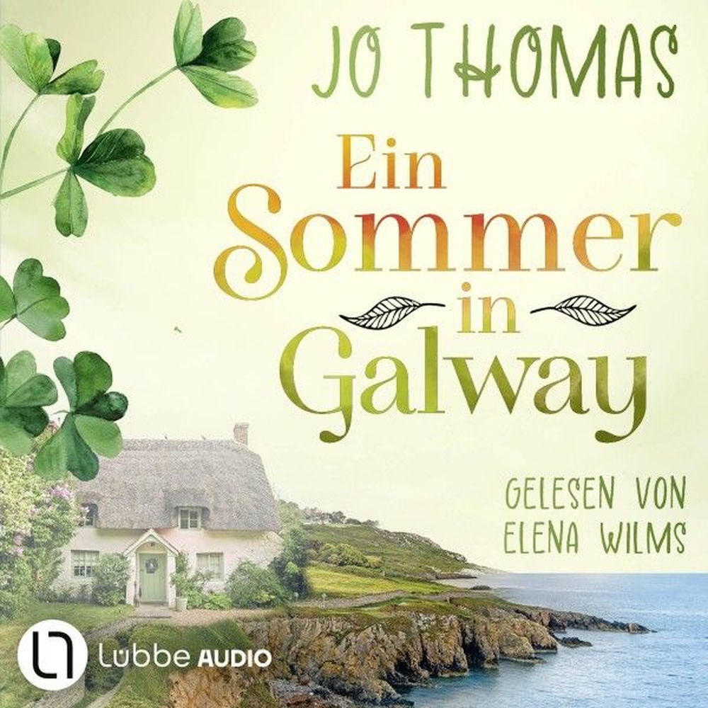 Ein Sommer in Galway
