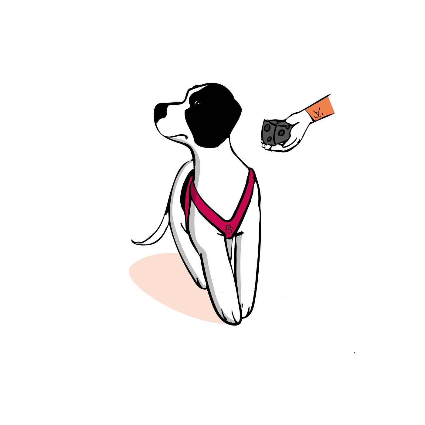 #01 Warum dein Hund kein Futter annimmt