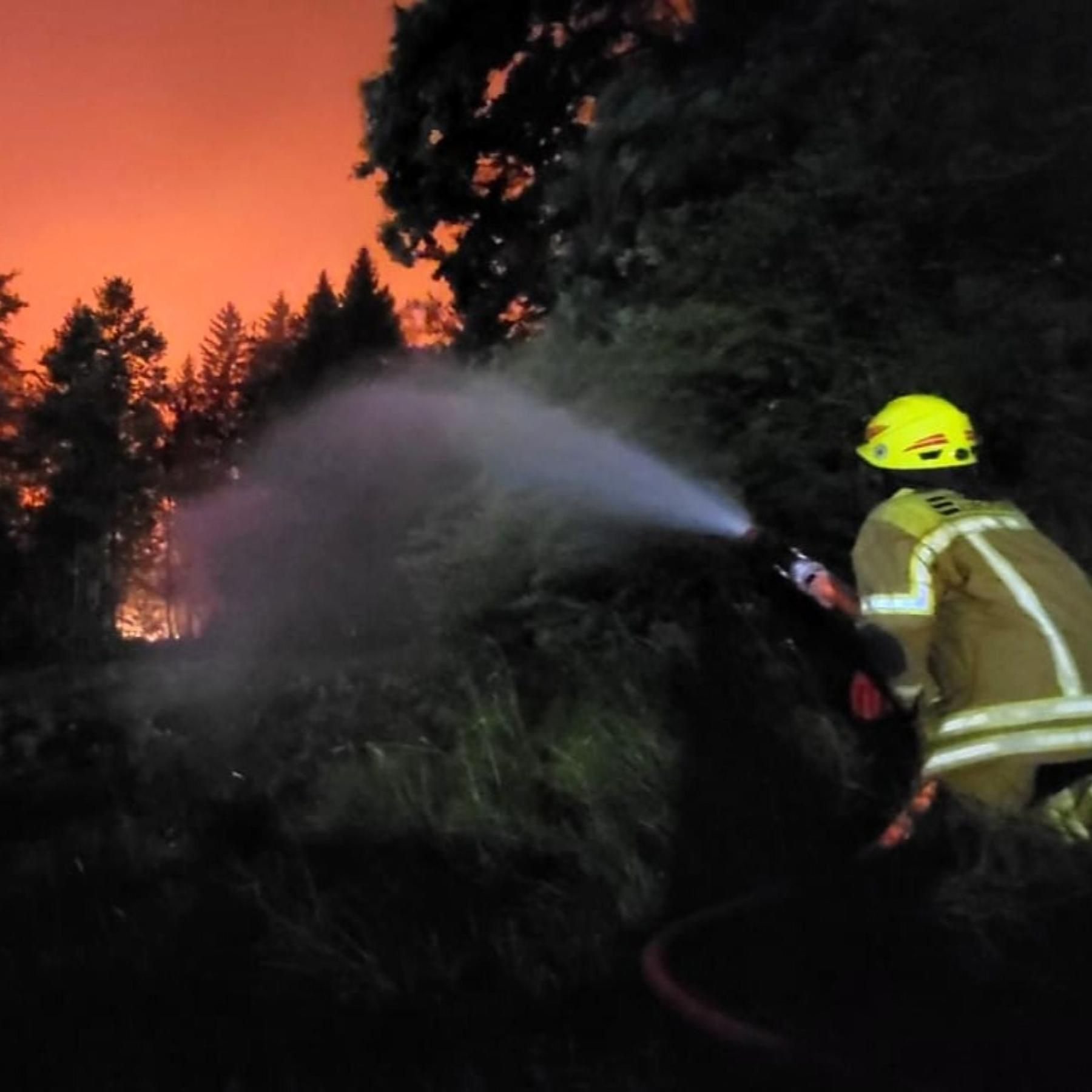 Waldbrand im Chiemgau: Wie klimaresilient ist Bayern?