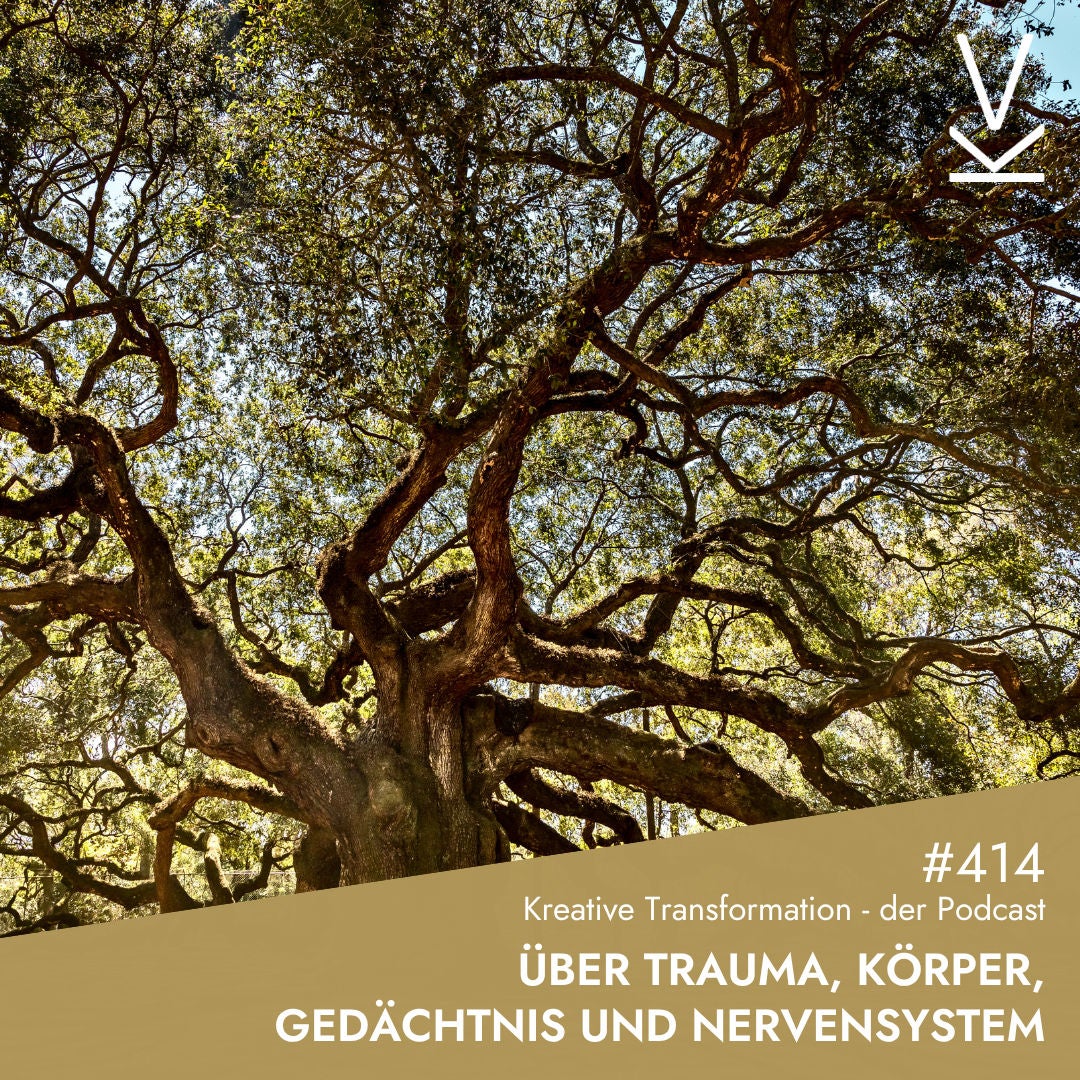 #414 Über Trauma, Körper, Gedächtnis und Nervensystem