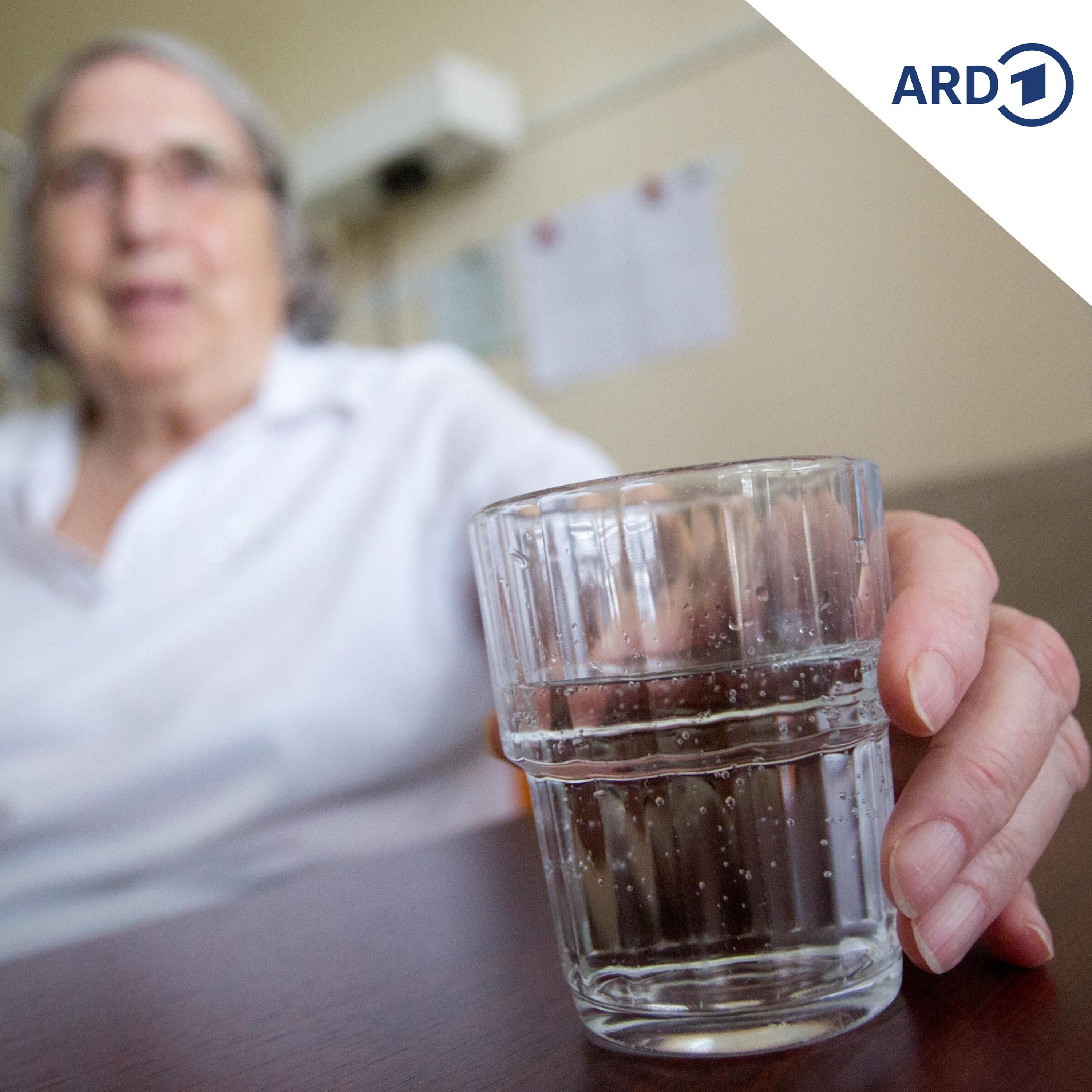 Hitzetote: Experten fordern Schutz vor extremen Temperaturen