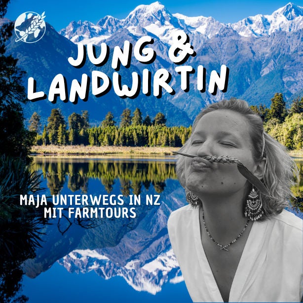 Unterwegs in Neuseeland mit Farm Tours 🇳🇿 – Teil 3/3: Virtuelle Zäune auf einer Milchviehfarm