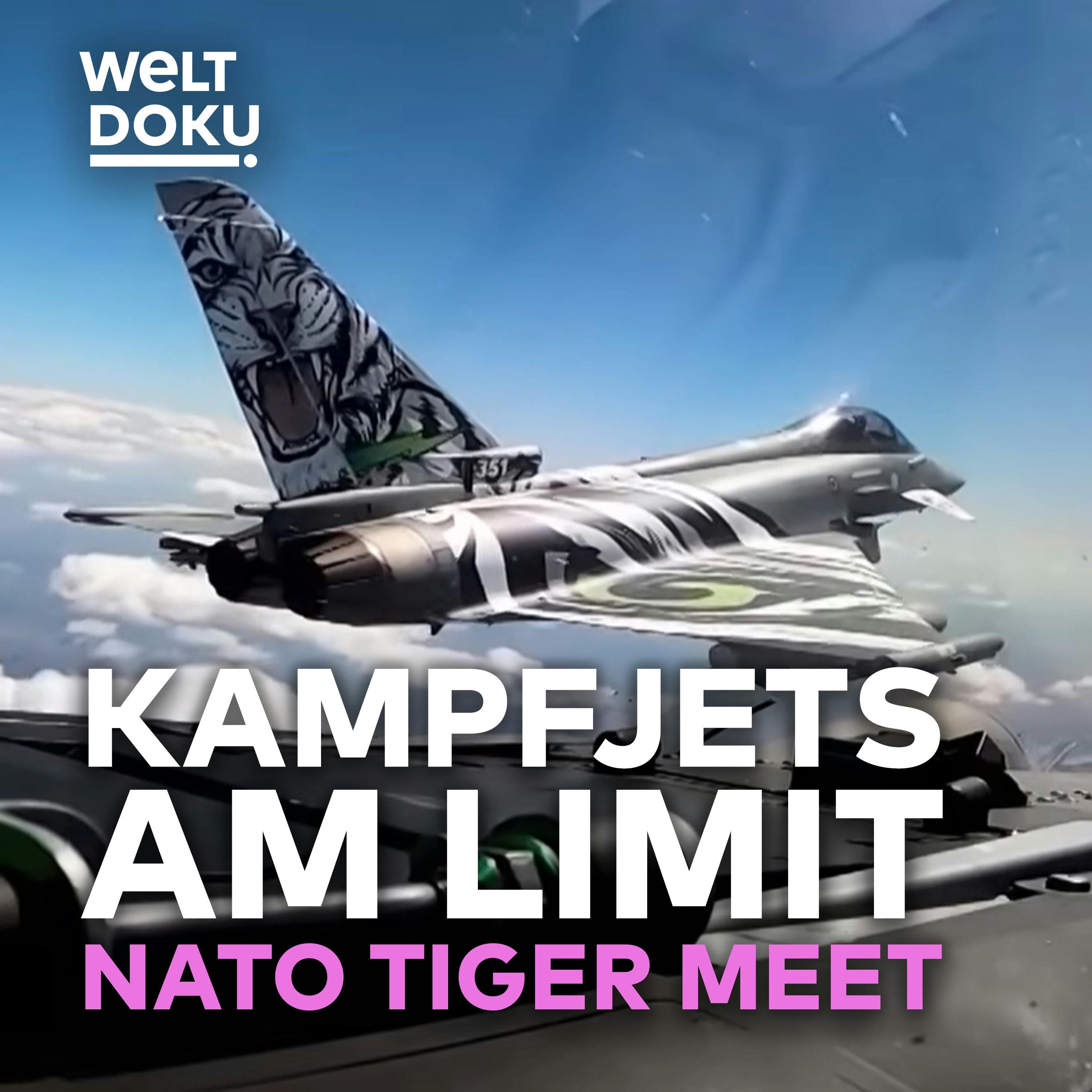 NATO TIGER MEET: Kräftemessen in der Luft! Handverlesene Helden der Luftwaffe