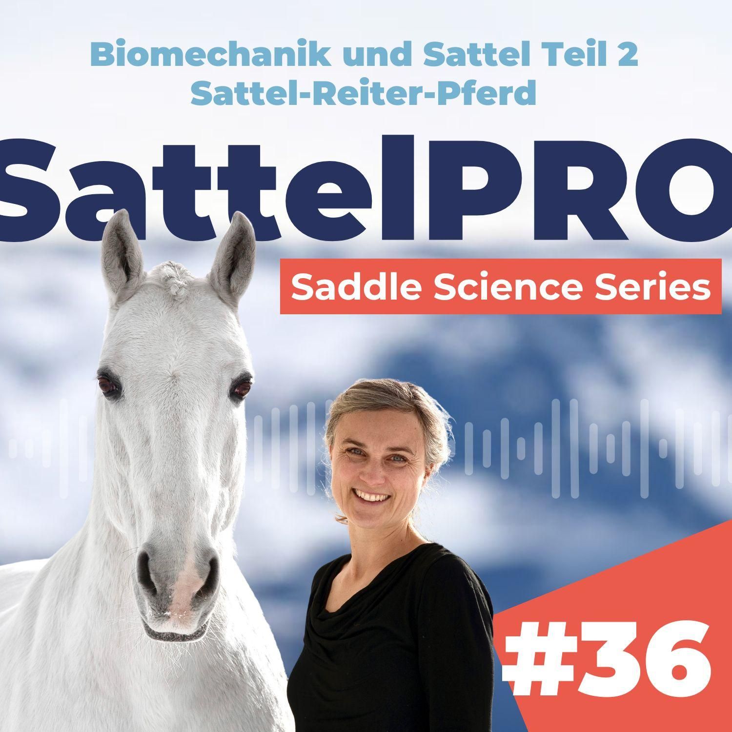 #36 Biomechanik und Sattel Teil 2 (Sattel-Reiter-Pferd): Saddle Science Series